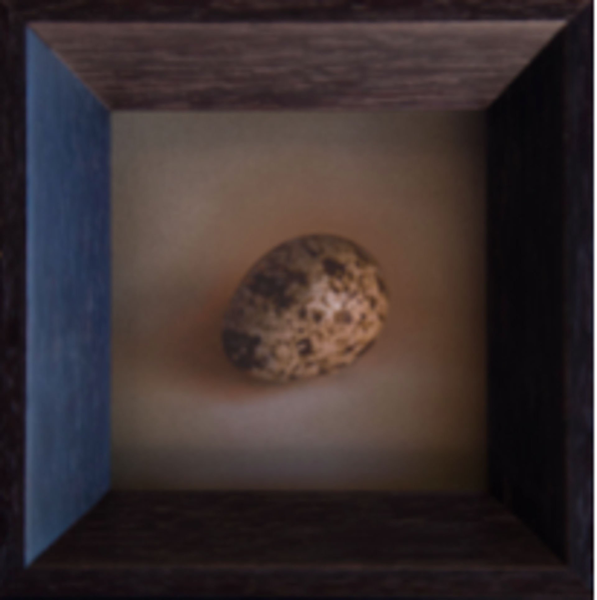Quail Egg 1 by Kate Breakey