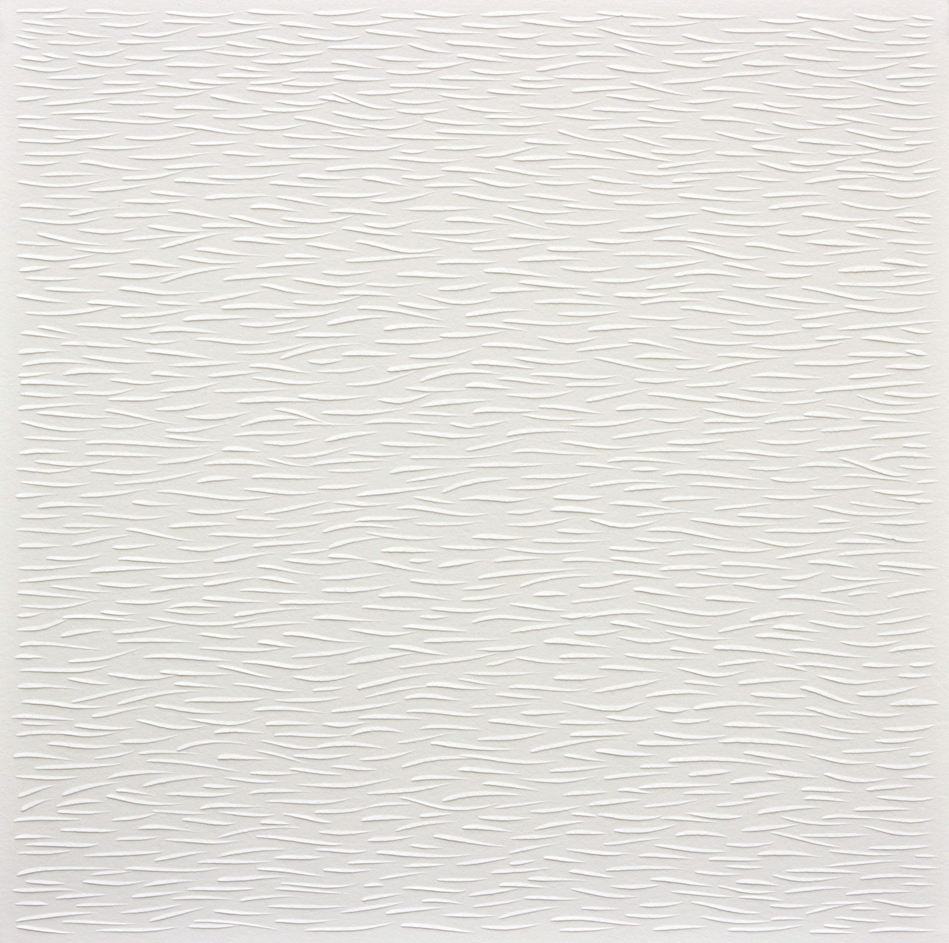 Untitled / 2500  incised paper by Sophia Dixon Dillo