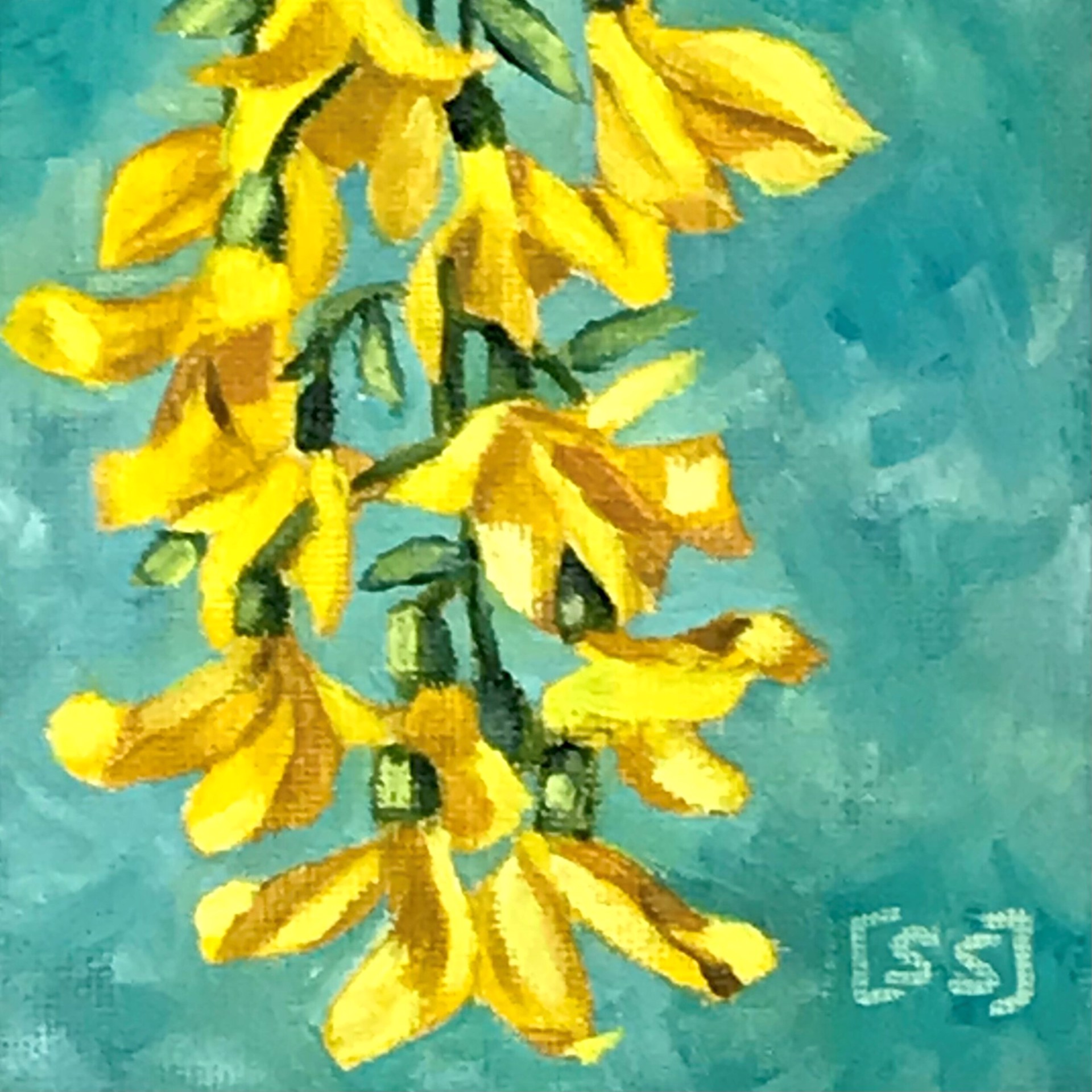 Golden Chain Cluster by Sharon Sudduth