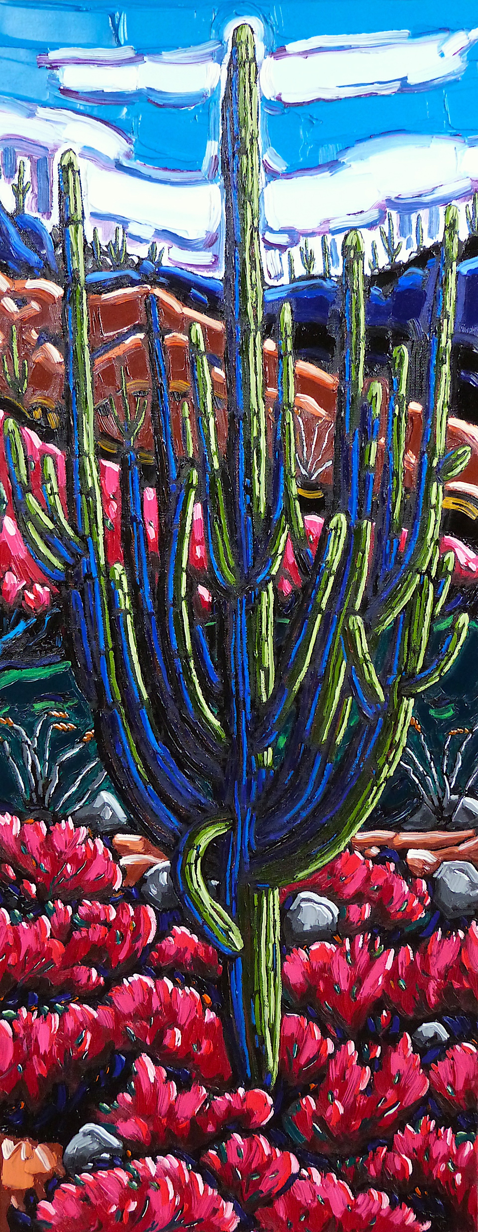 Giant Saguaro and Red Chuparosa by Neil Myers