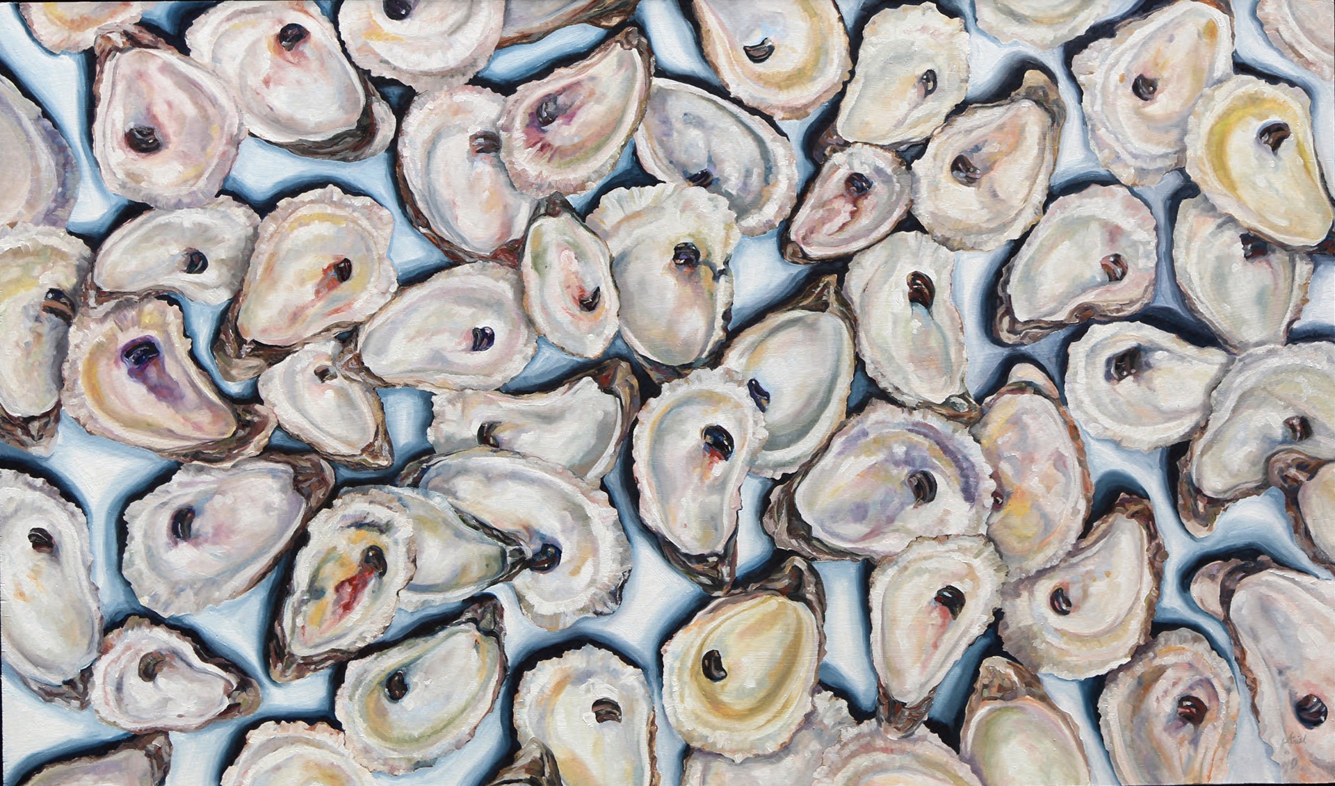 Oysters Multiplied by Ariel Harder