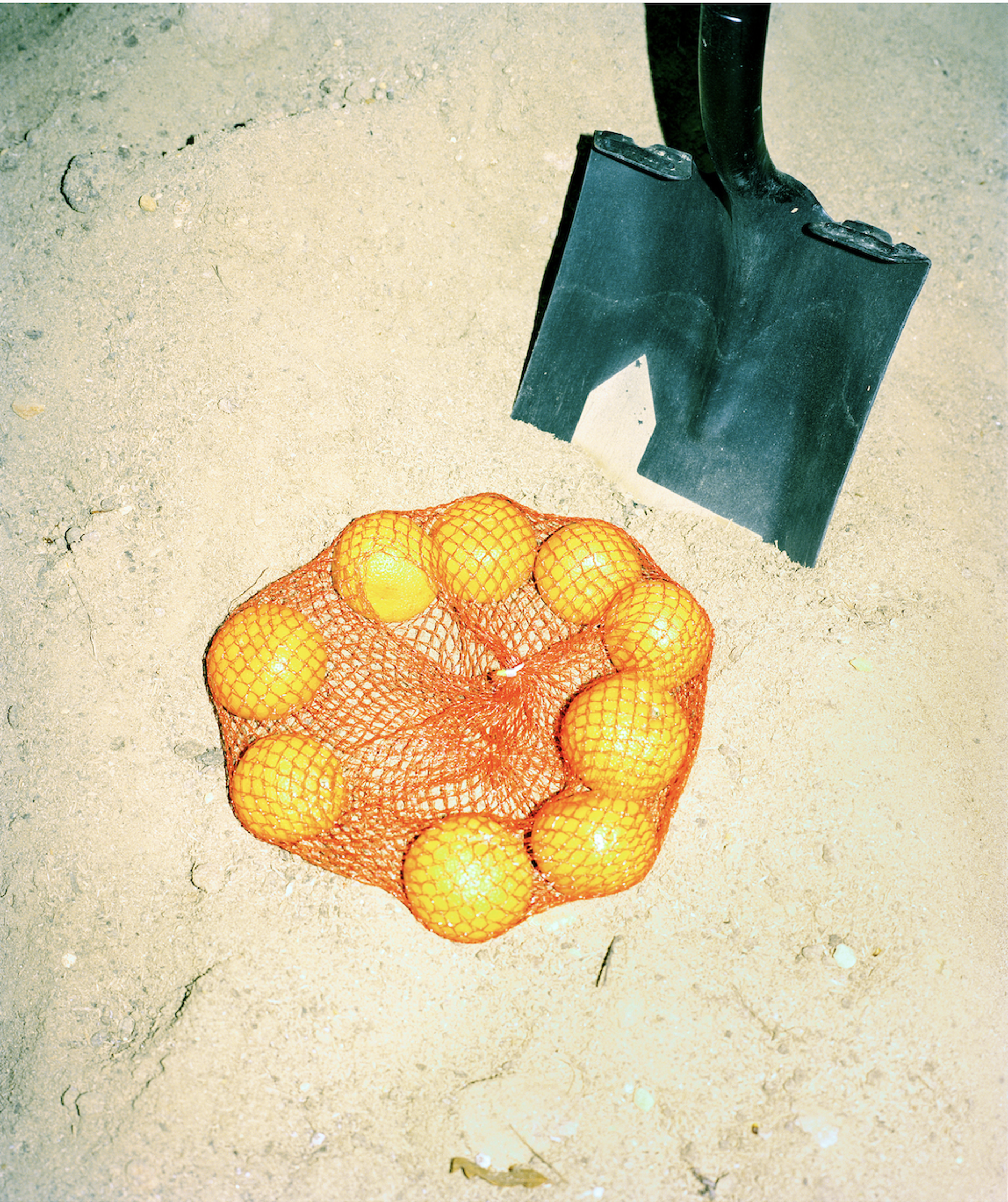 Sand Orange by Ben Sklar