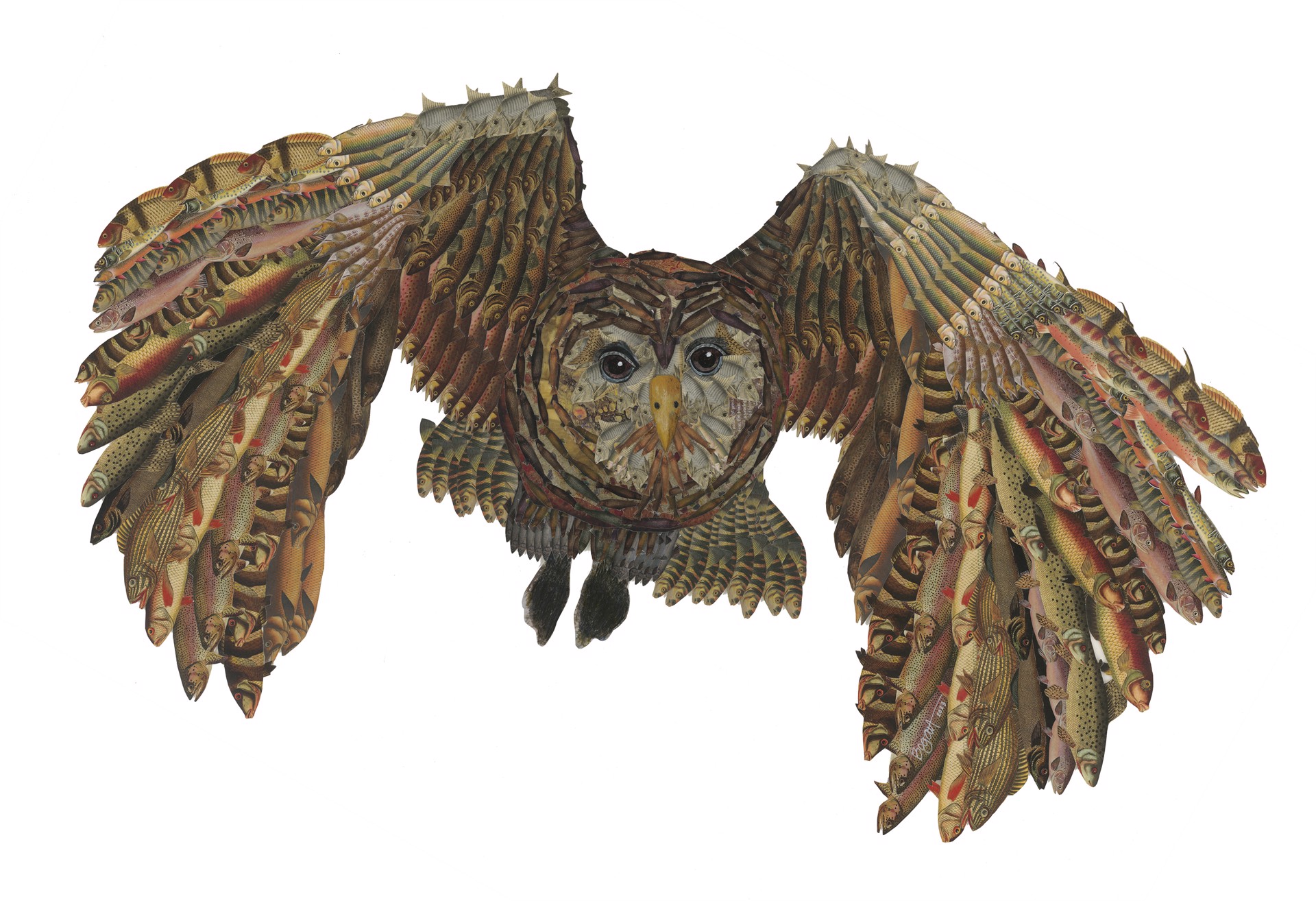 Flying Owl II by Brenda Bogart