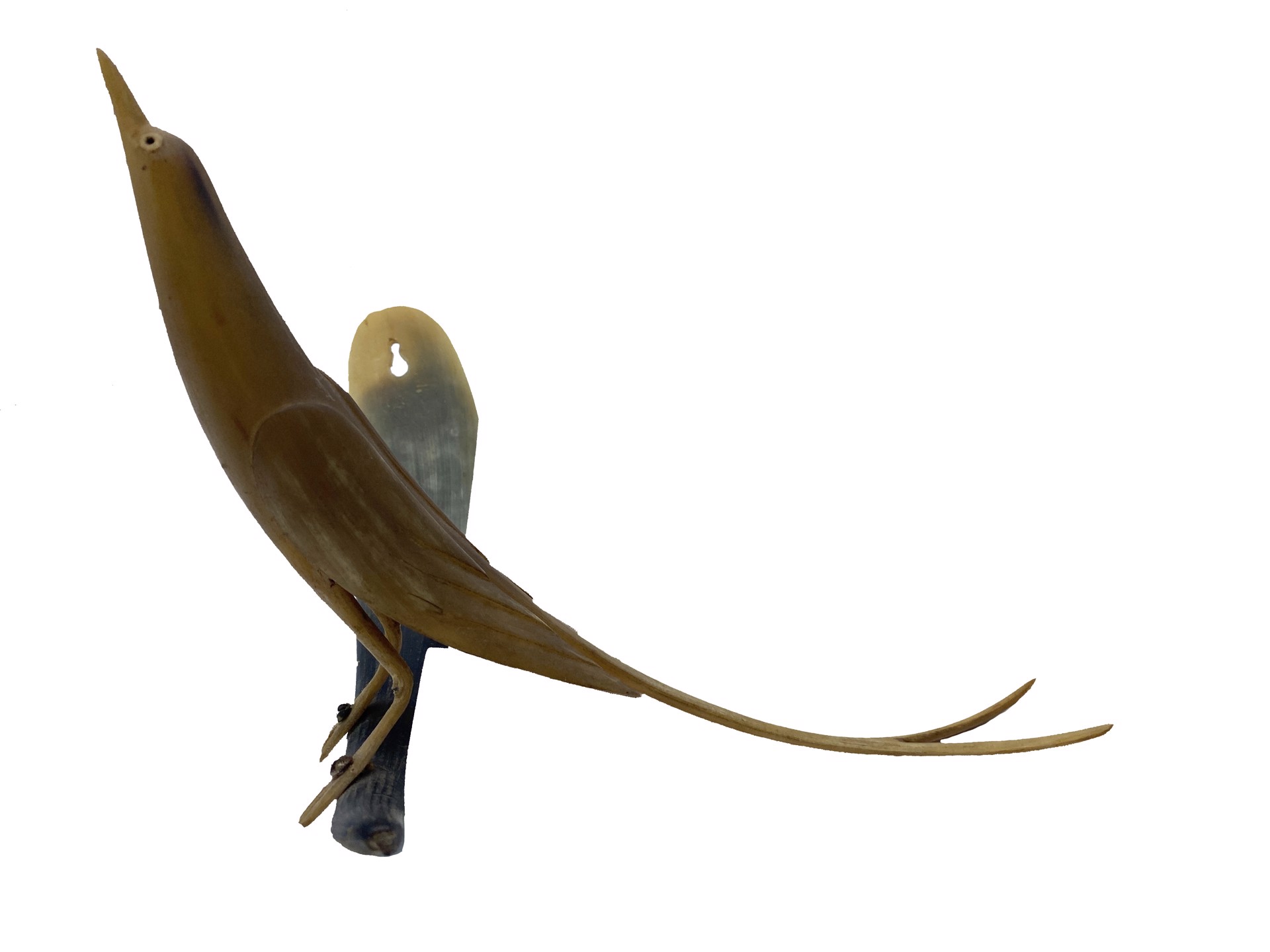 DS-57: blonde carved horn scissor-tailed flycatcher on horn, wall mount by Dan Super