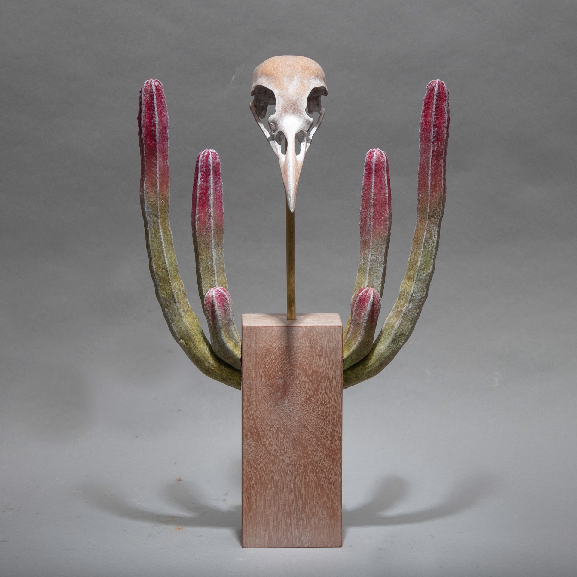 Specimen #14 - Totem (3) crow skull with organ pipe cactus by Dana Younger