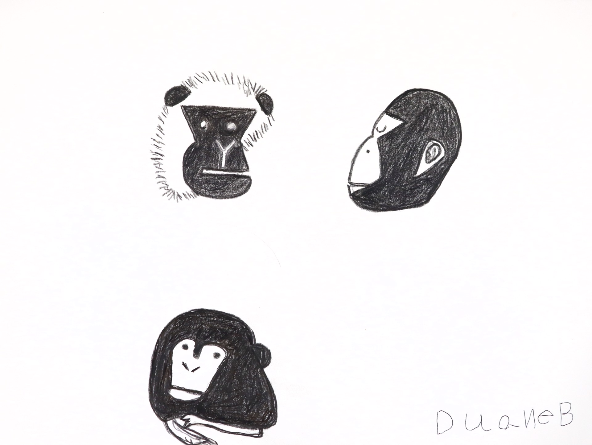 Monkeys by Duane Blacksheare-Staton