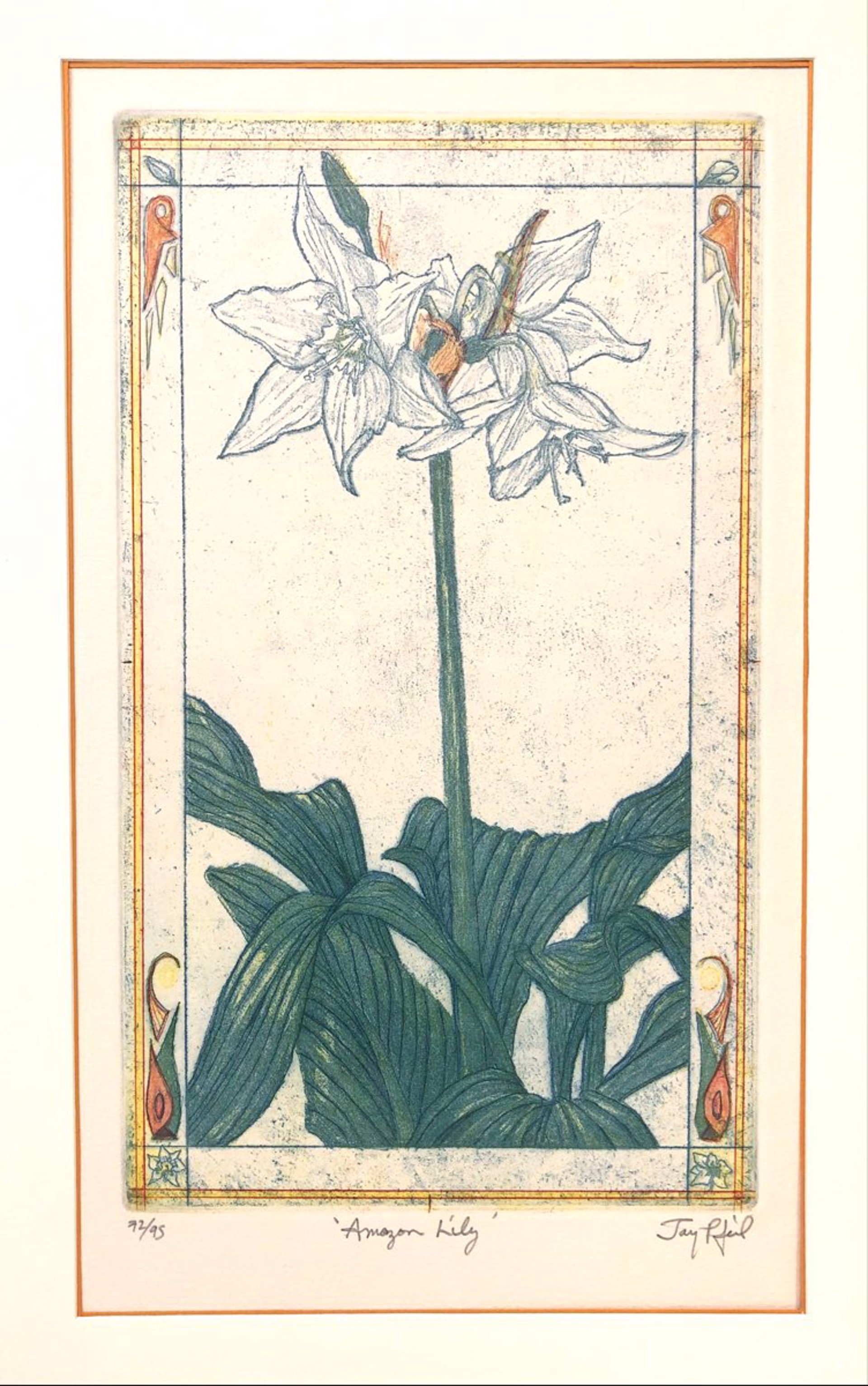 Amazon Lily (Unframed) by Jay Pfeil