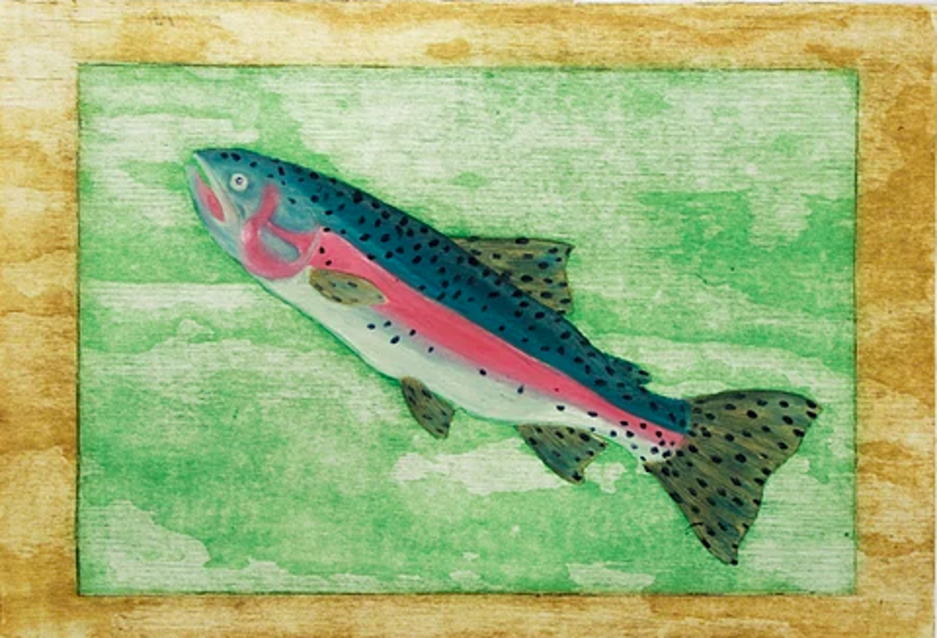 Rainbow Trout by David Hefner