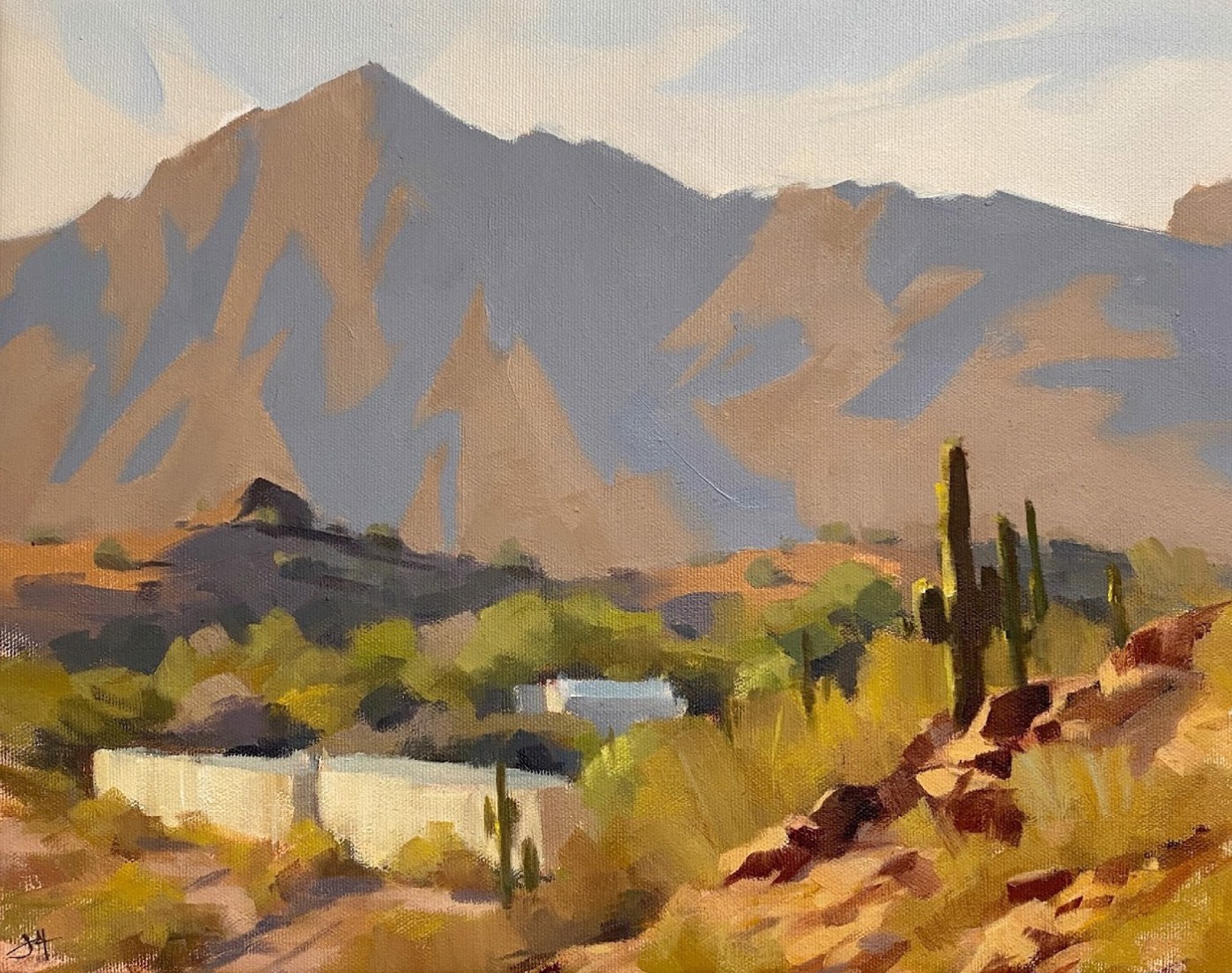 Desert Watch by Judd Mercer