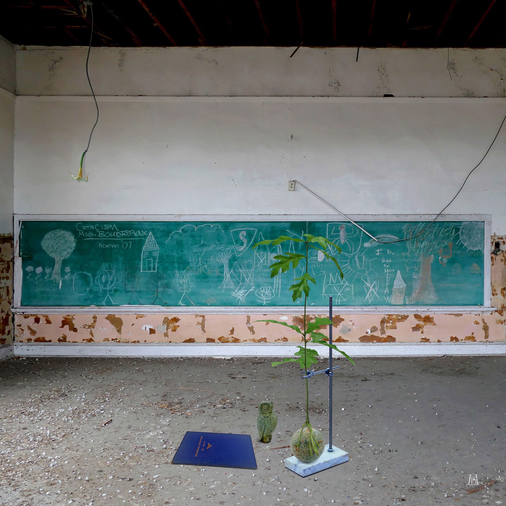 Cultivar 1 by Debra Howell