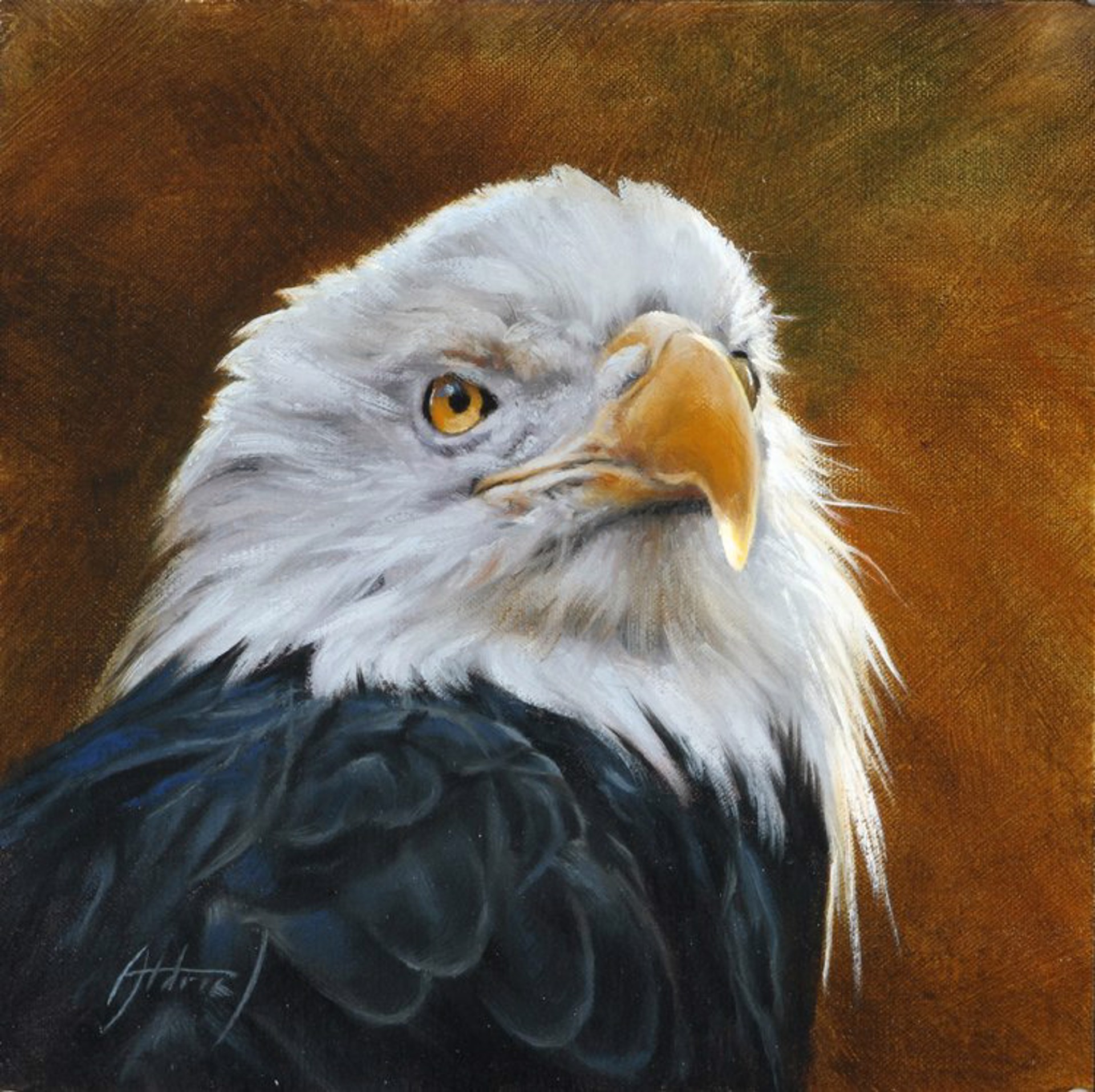 Bald Eagle by Ed Aldrich