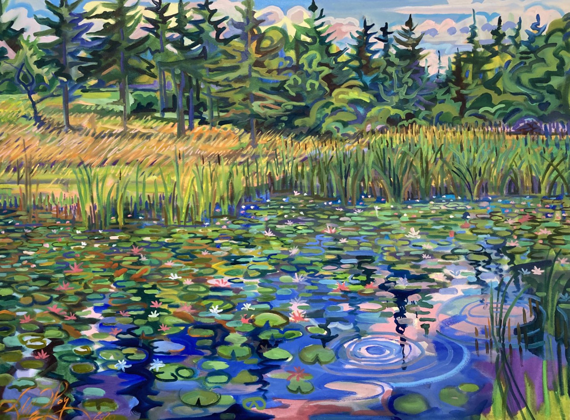 Lillies on the Fire Pond by Jill Hoy