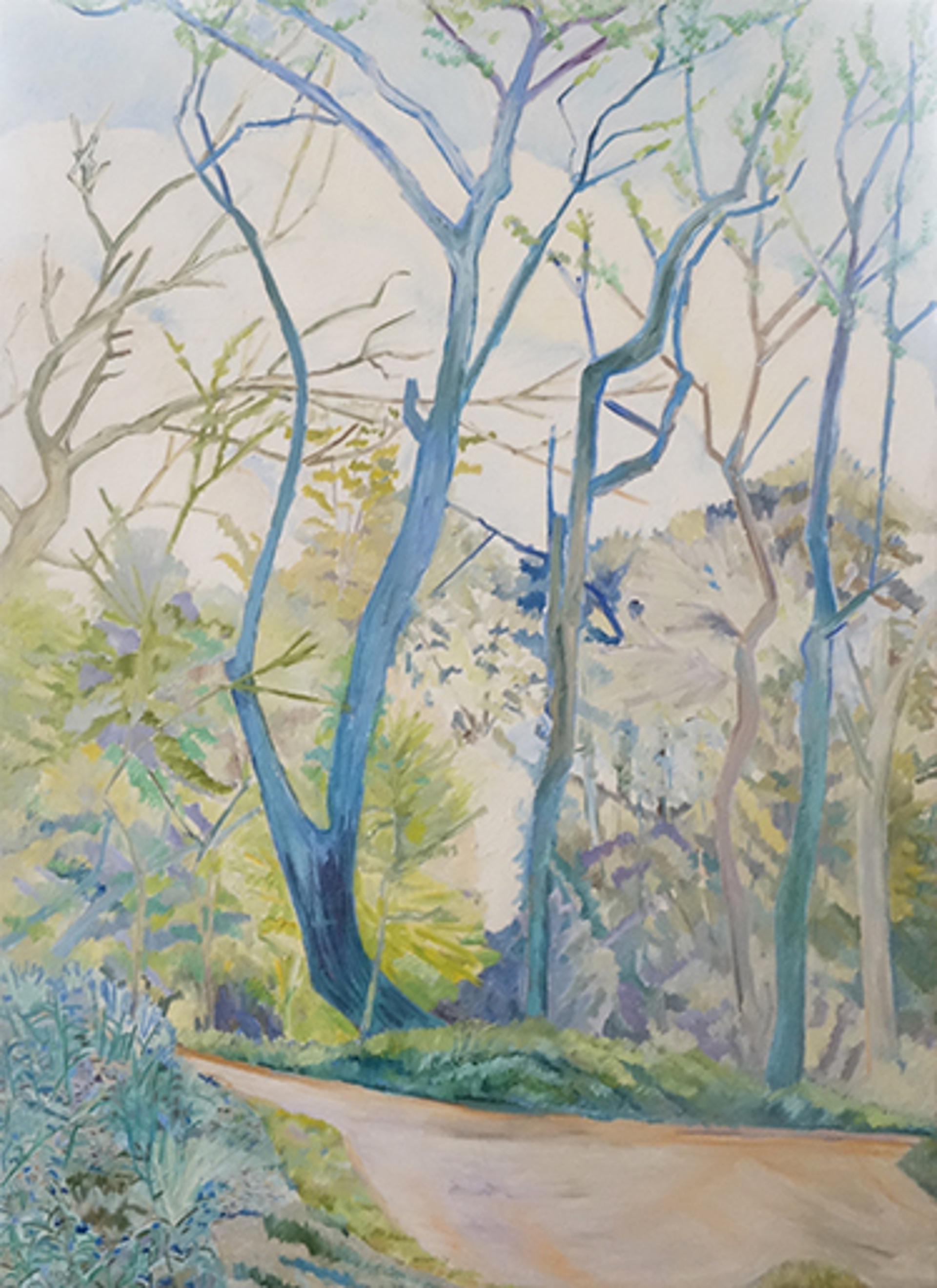 Woods Series by Kate Trepagnier