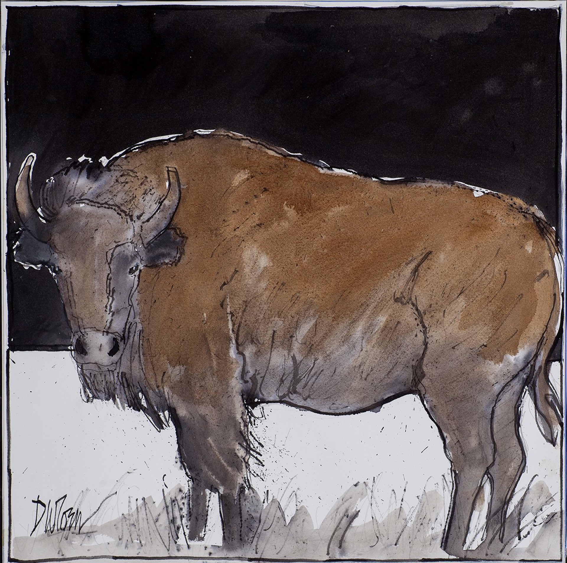Buffalo by Don Coen