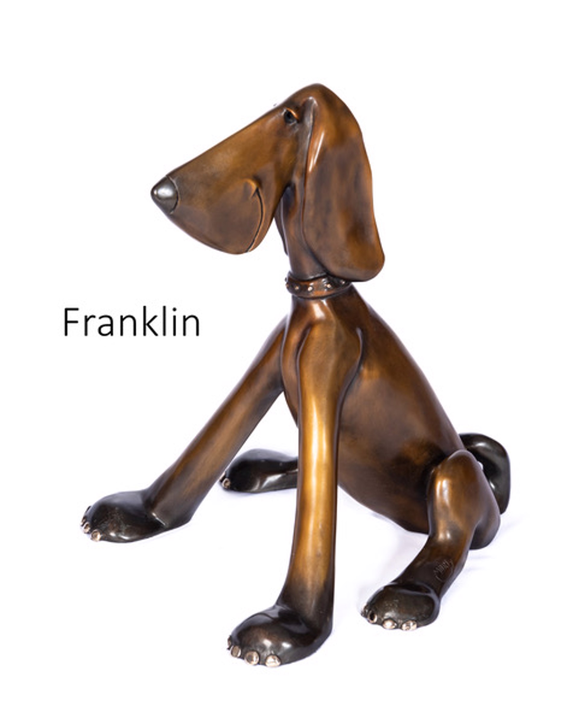 Franklin 2 by Marty Goldstein