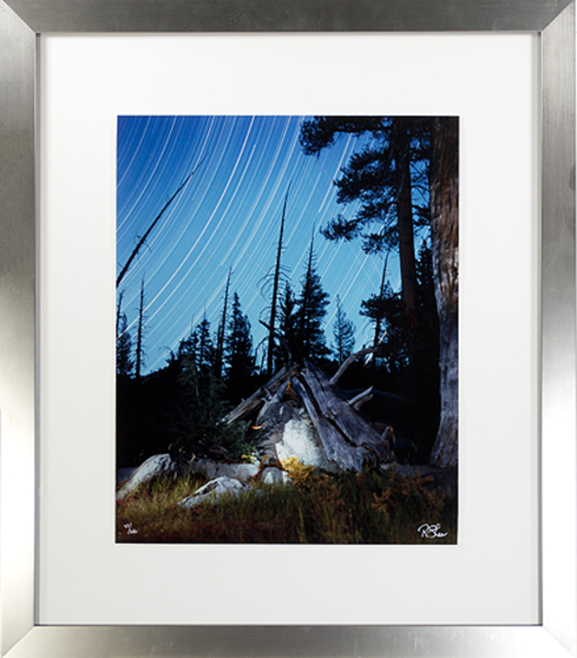 The Spirit of John Muir with Star Trails,Yosemite by Robert Kawika Sheer