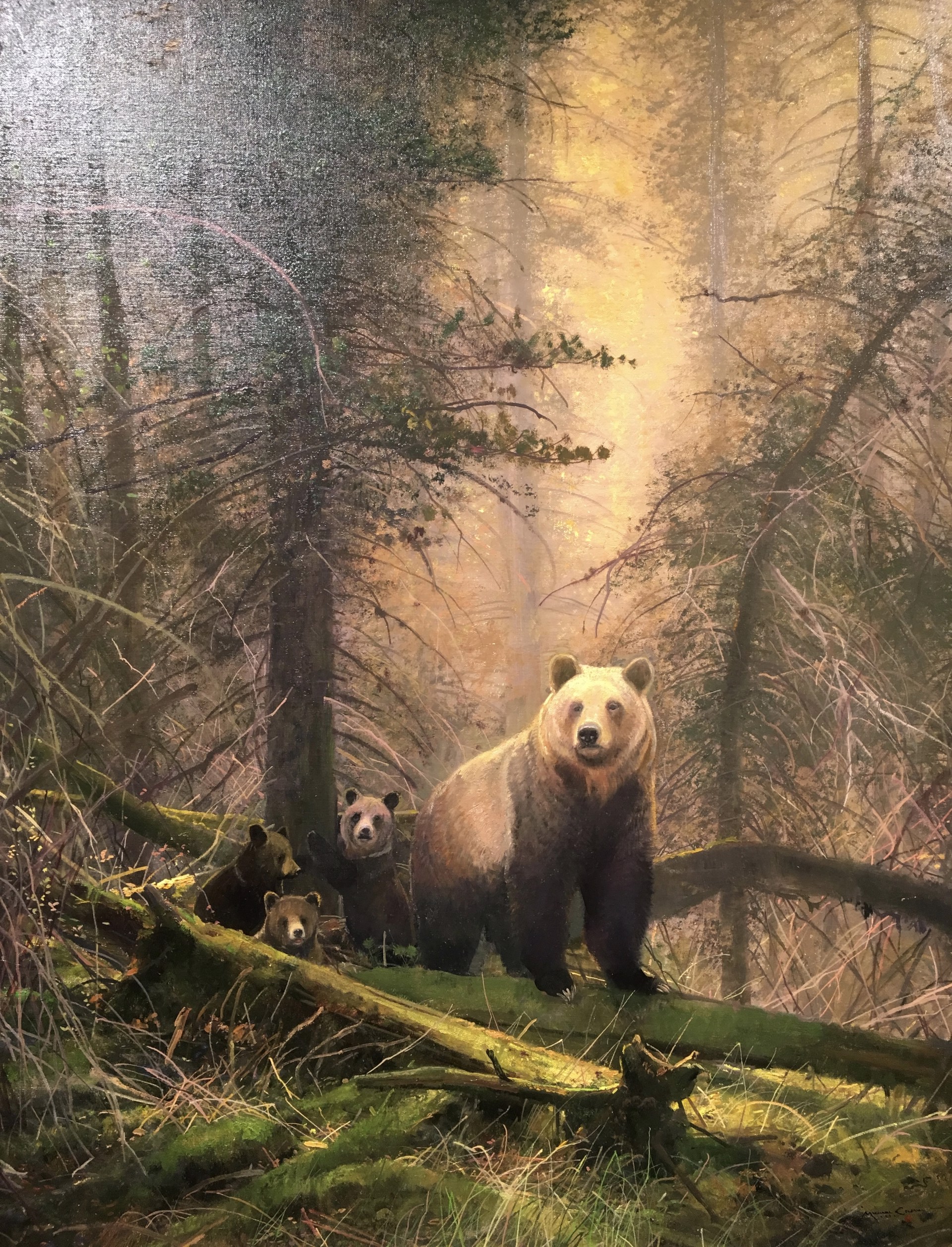 Grizzly Family by Michael Coleman