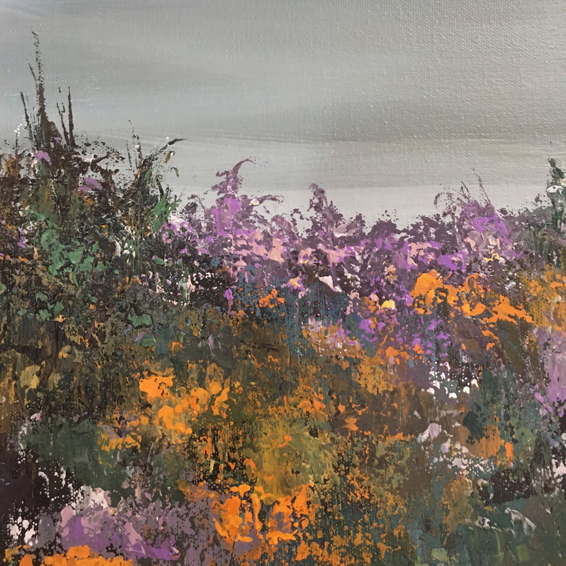 Tangerine Field by Shelley Hopkins