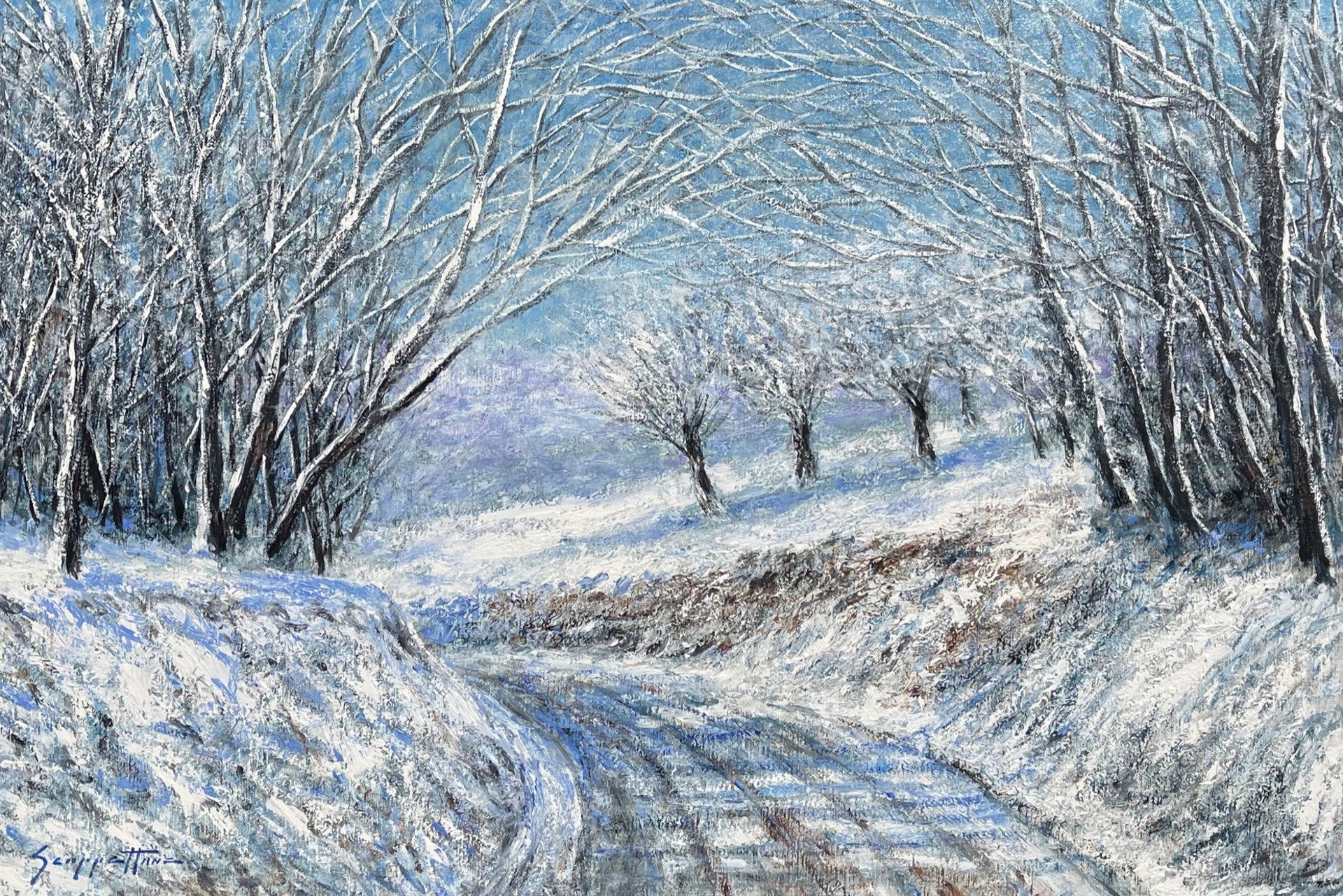 Snowy Drive by James Scoppettone