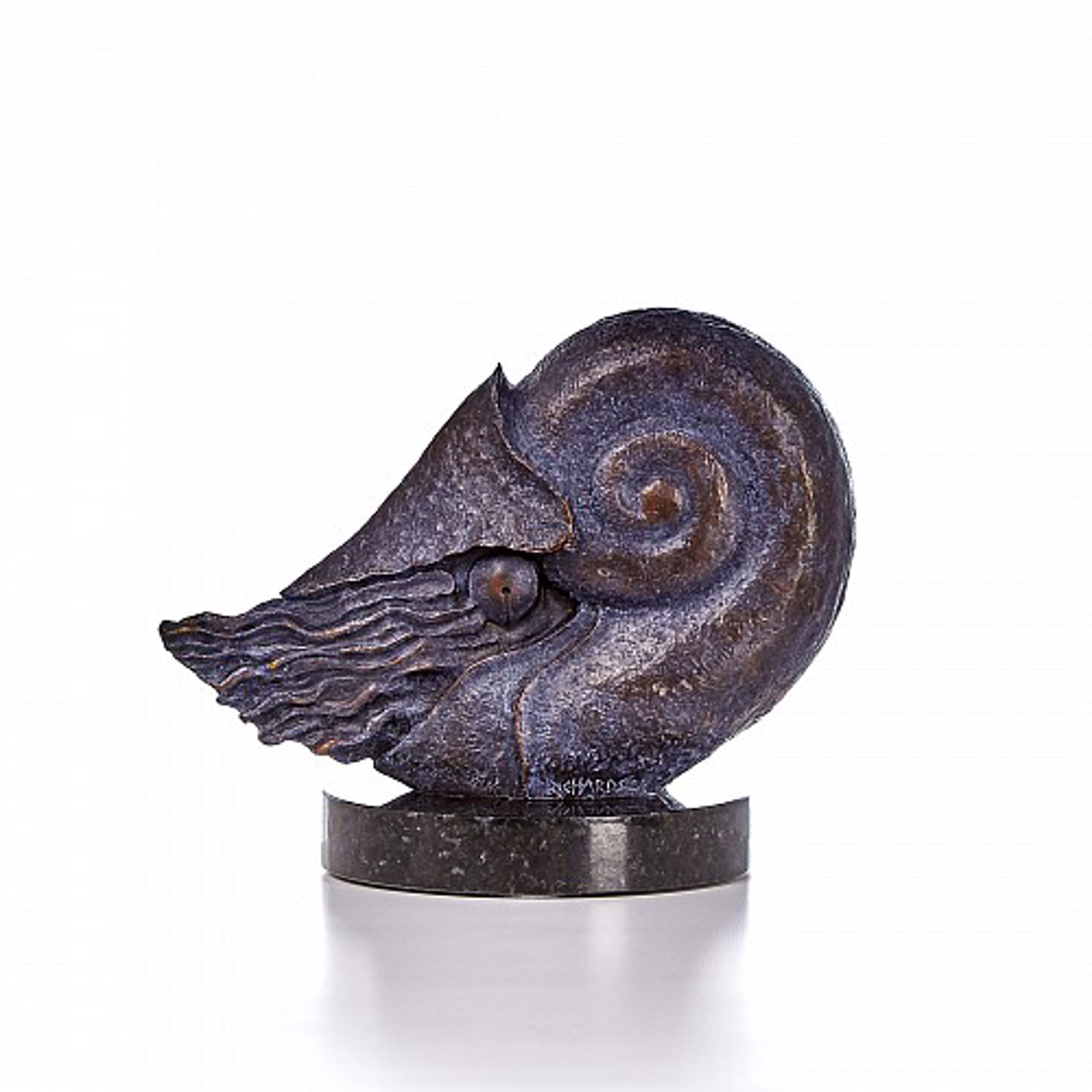 Chambered Nautilus by David Richardson (sculptor)