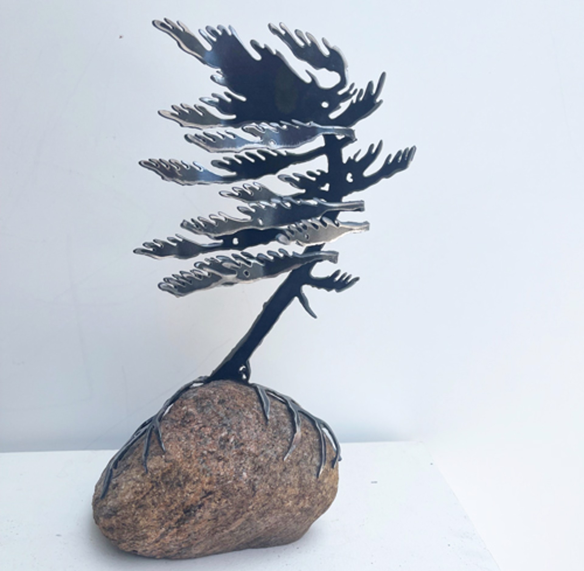 Windswept Pine 659758 by Cathy Mark