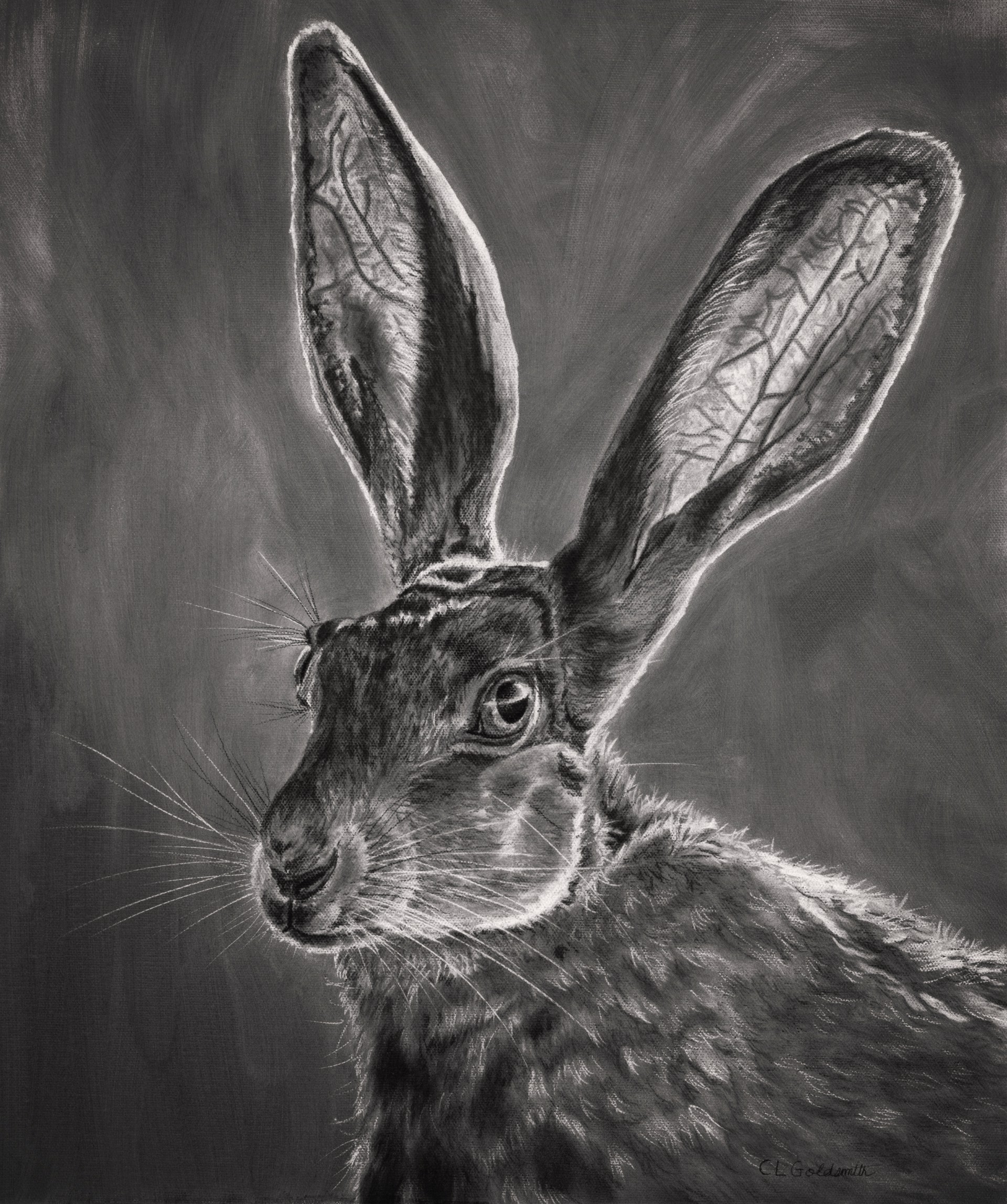 Jack Rabbit by C.L. Goldsmith