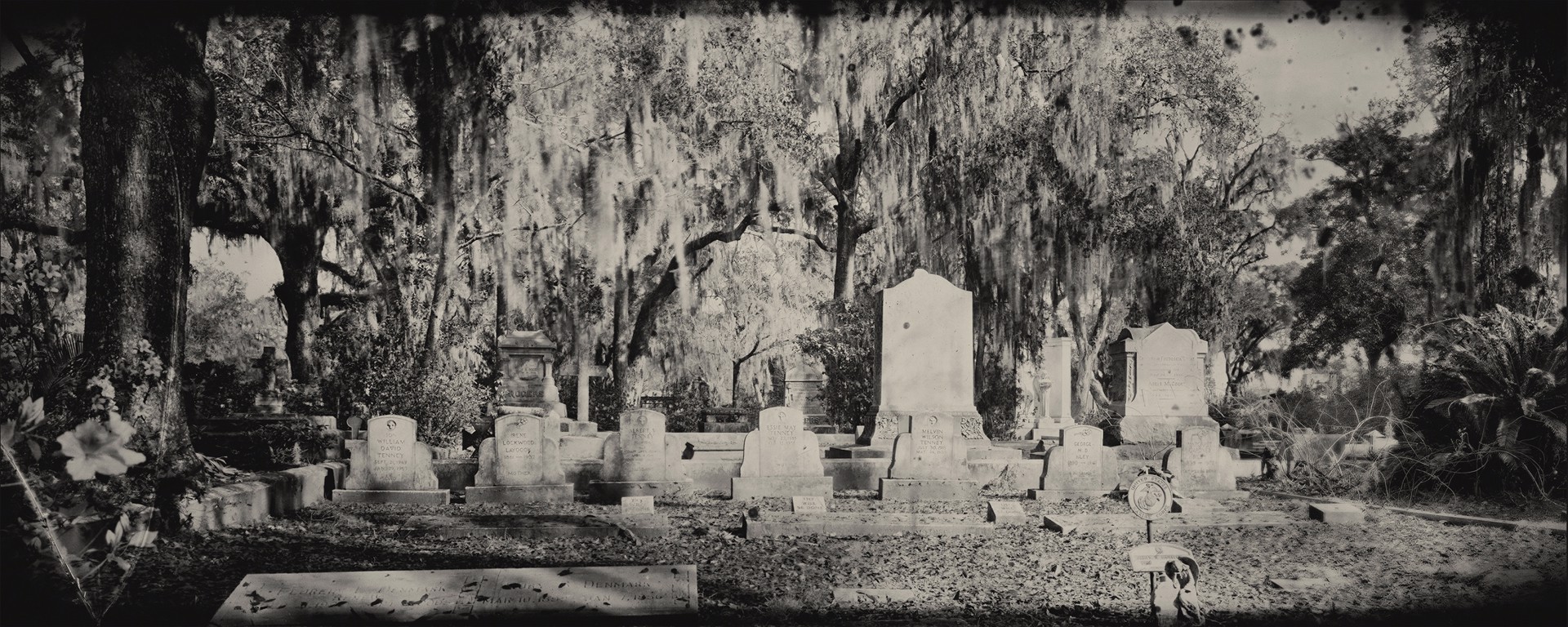 A Study of the Fragility of Life #9, Bonaventure Cemetery by Richard Austin