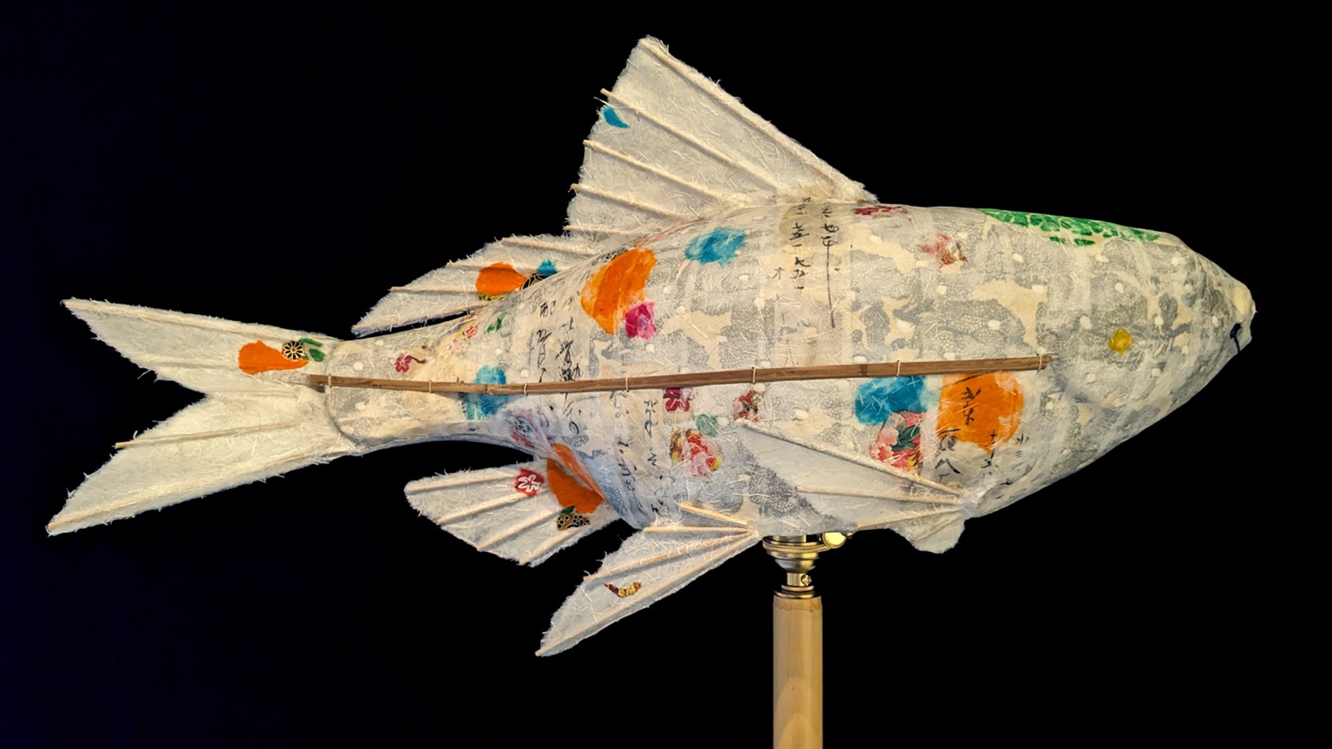 Silver Shadow Koi by Elaine Hanowell