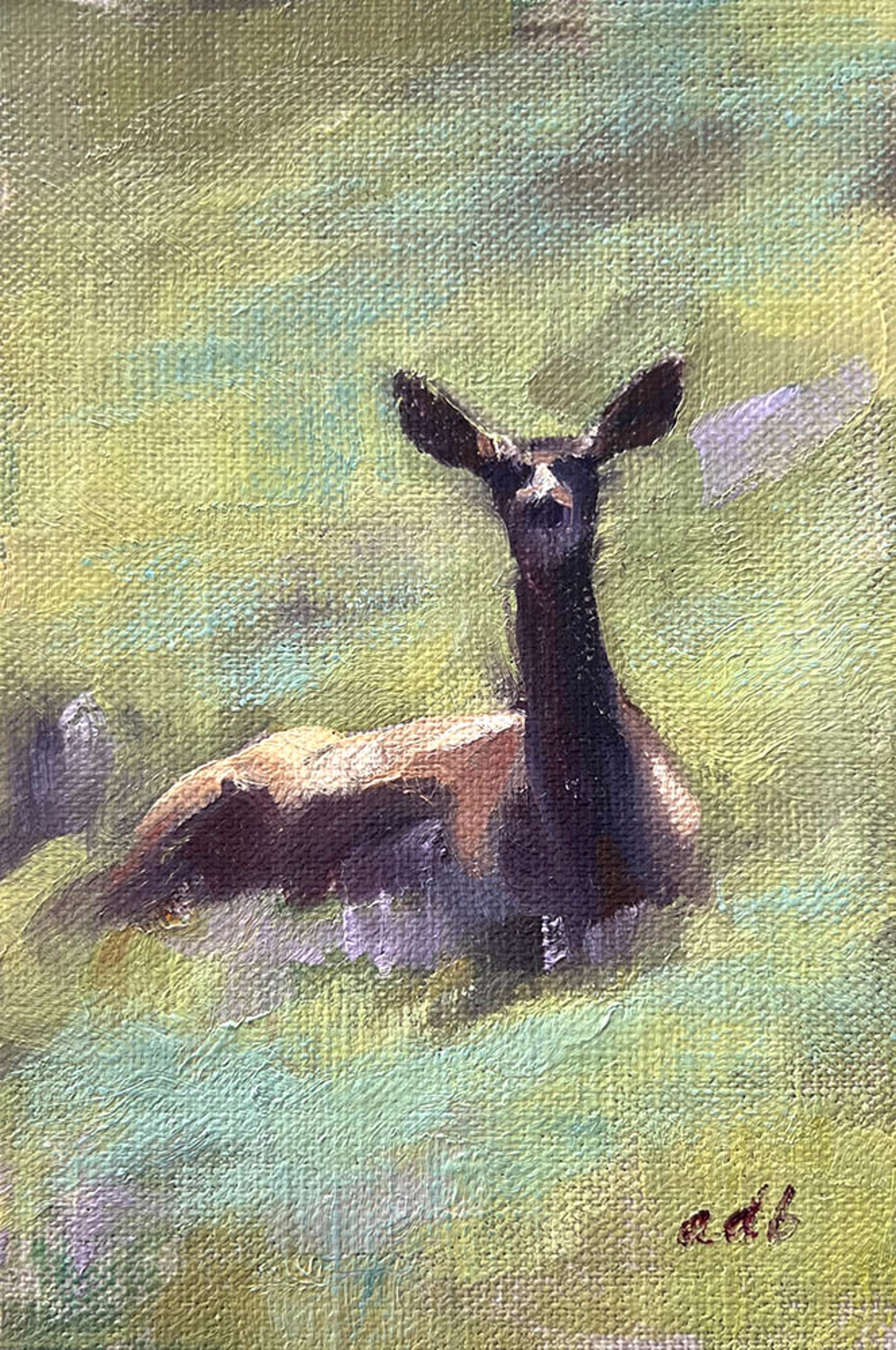 Deer Study by Amber Blazina