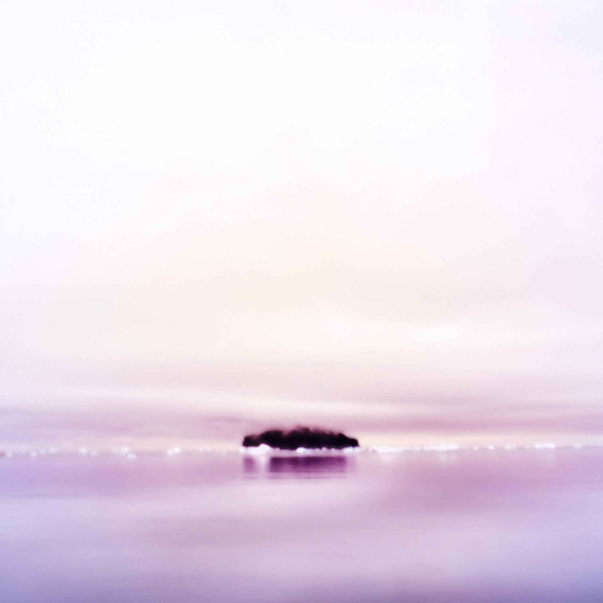 Tiny Island, Antarctica by Osceola Refetoff