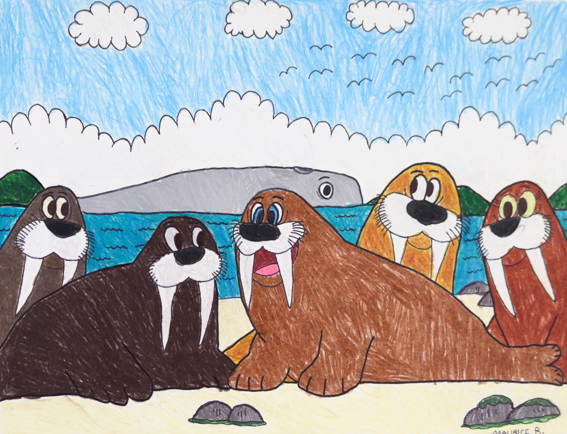 Fantastic Walrus Island by Maurice Barnes