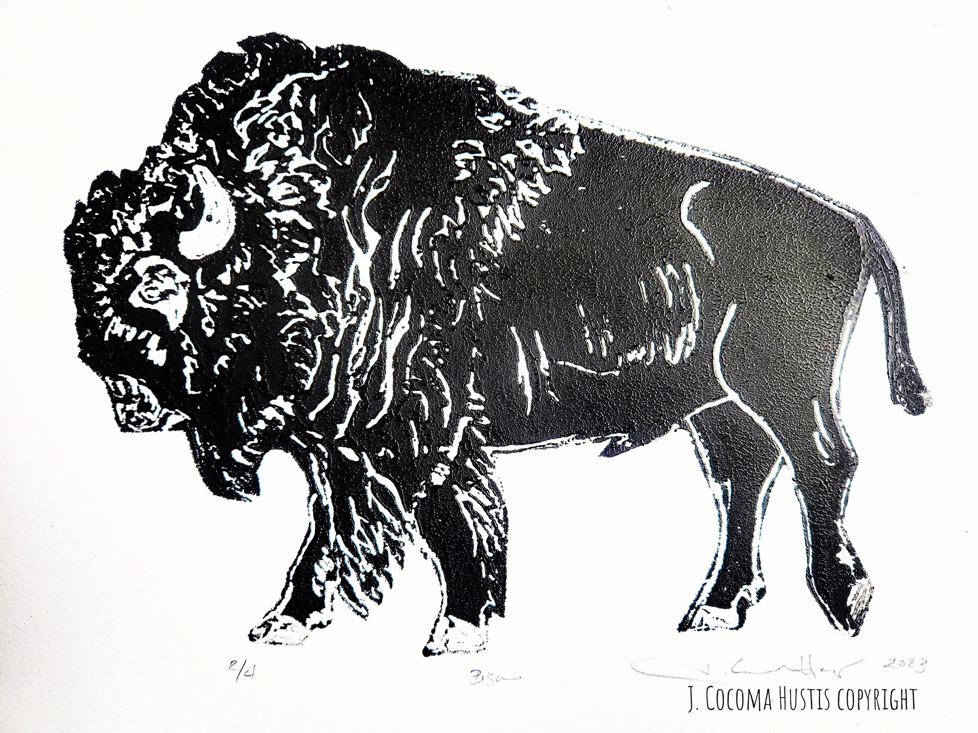 Bison Etching Print by Jennifer Cocoma Hustis
