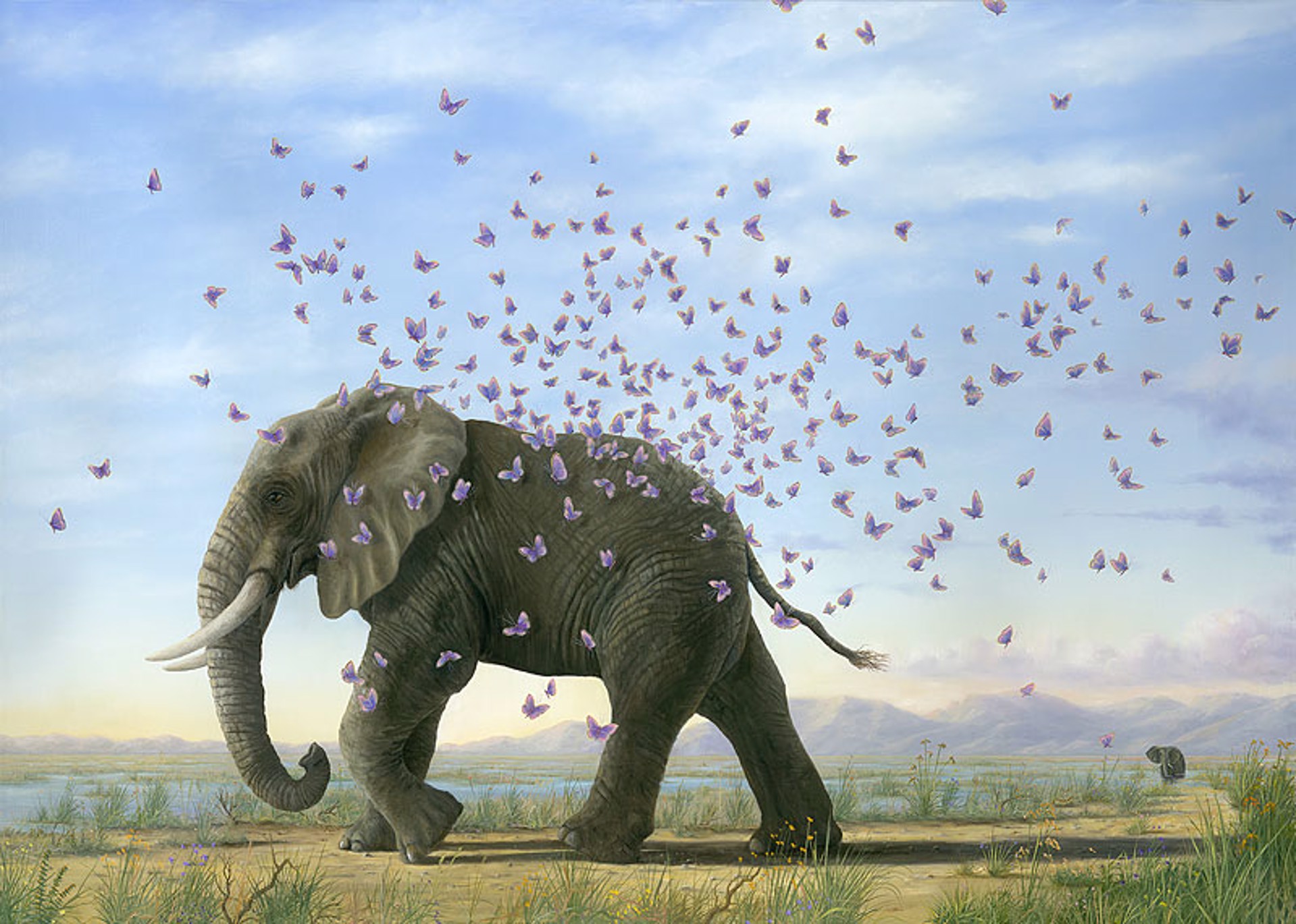 Metamorphosis - SOLD OUT ON ALL EDITIONS by Robert Bissell