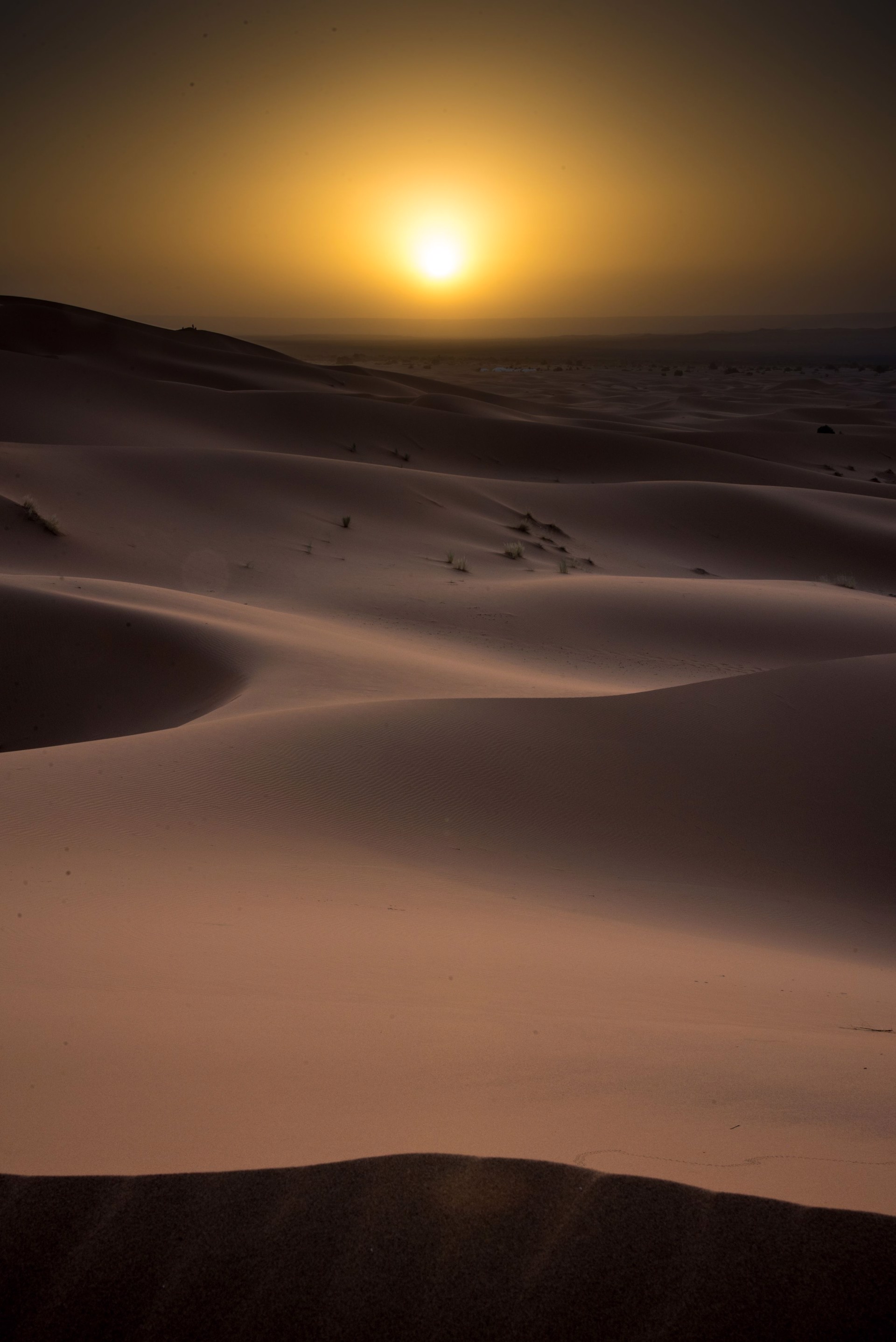 Sahara Sunrise by Sean Stone