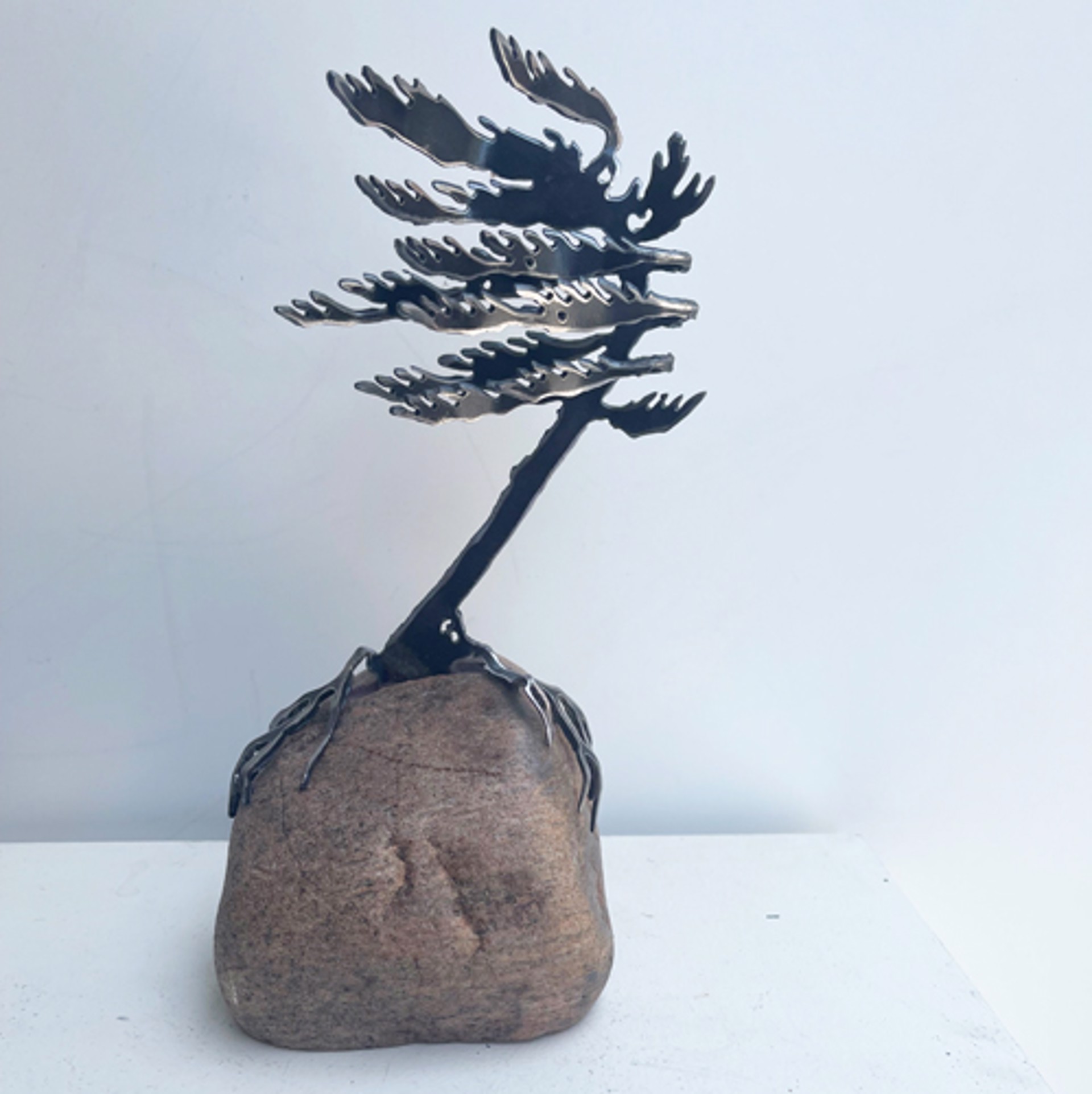 Windswept Pine 659775 by Cathy Mark