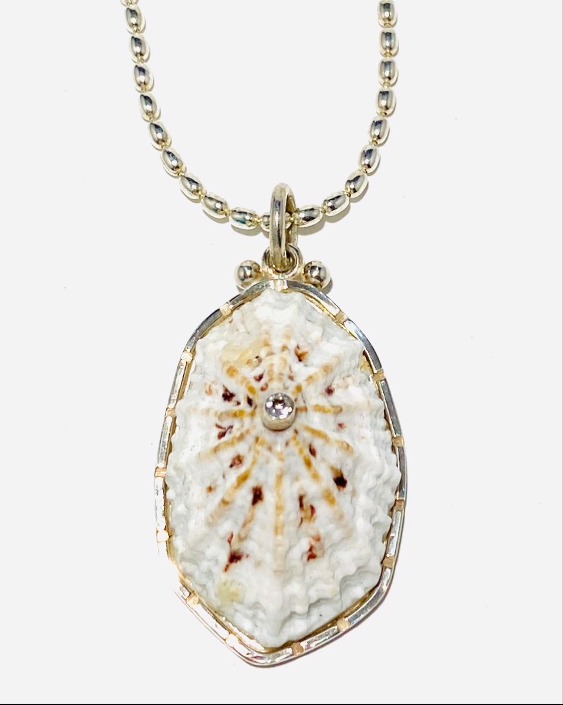 Keyhole Limpet Shell With White Topaz Pendant on 16"Silver Rice Chain Necklace BU23-2 by Barbara Umbel