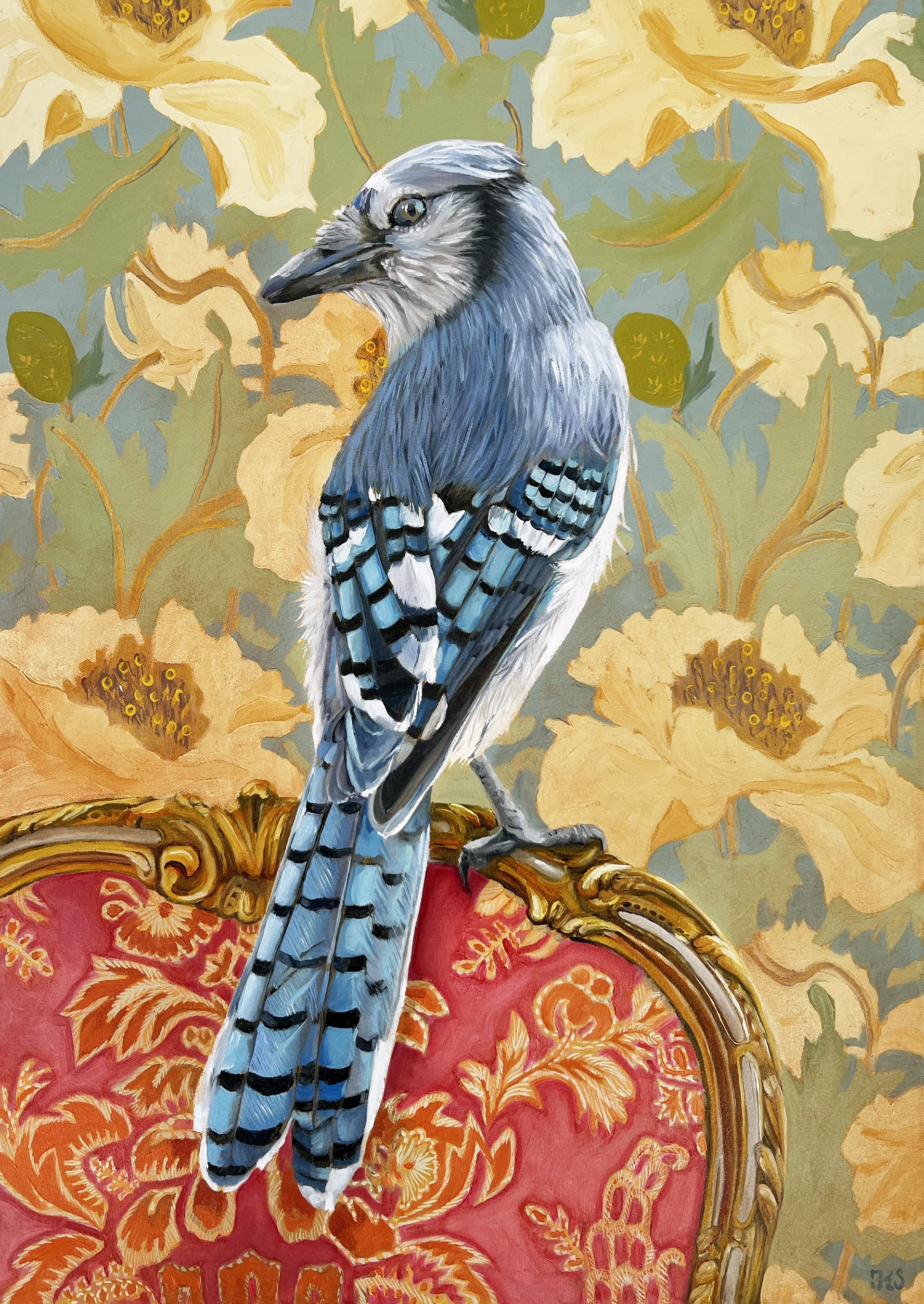 Songbird, Blue Jay by Fiona Smith