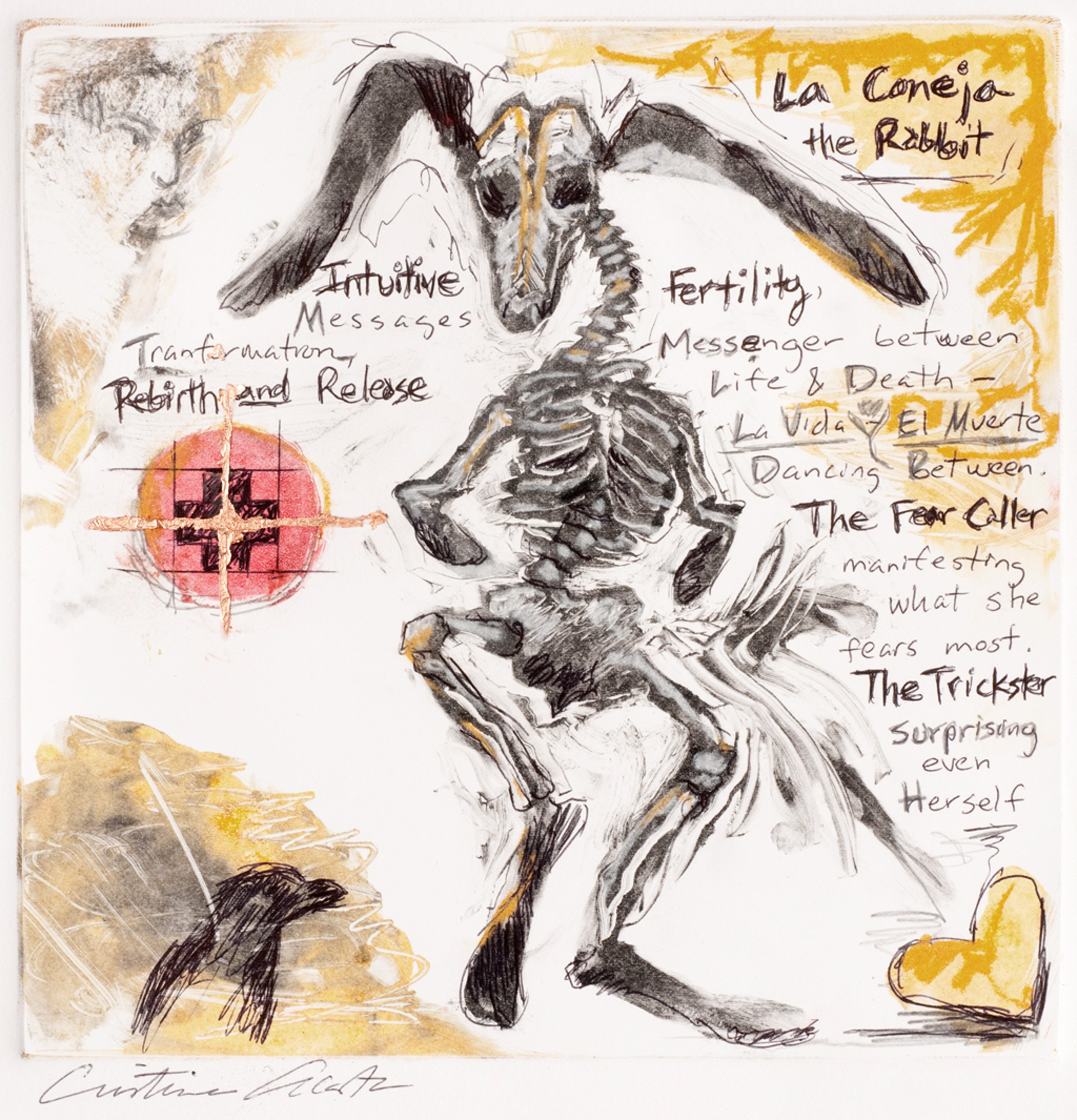 El Canejo The Rabbit by Cristina Acosta