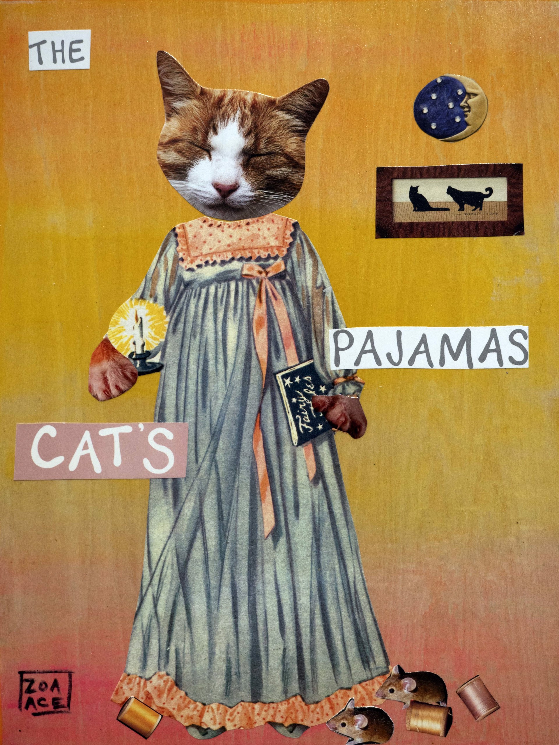 The Cat's Pajamas by Zoa Ace