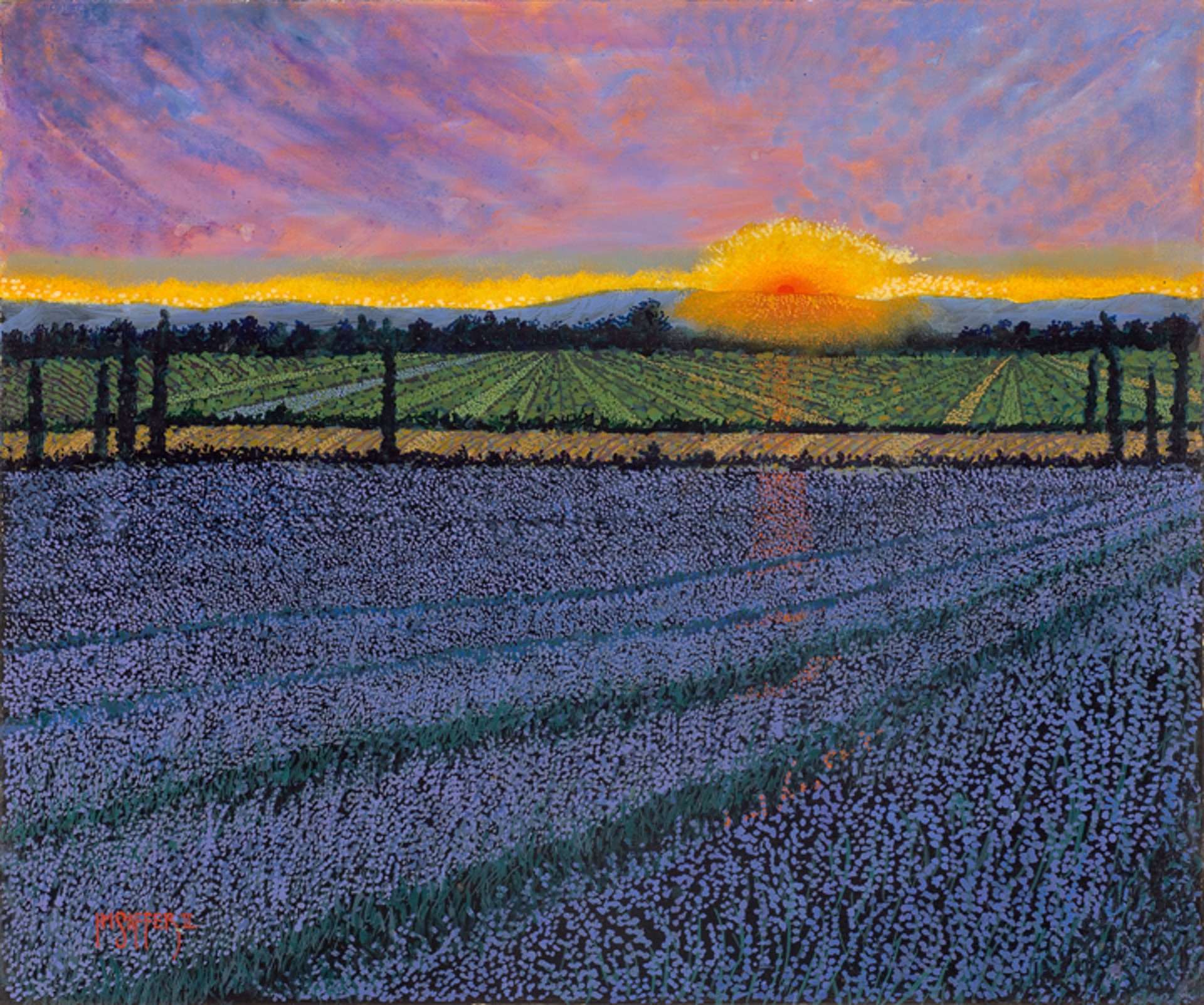 Lavender Fields by H. M. Saffer II