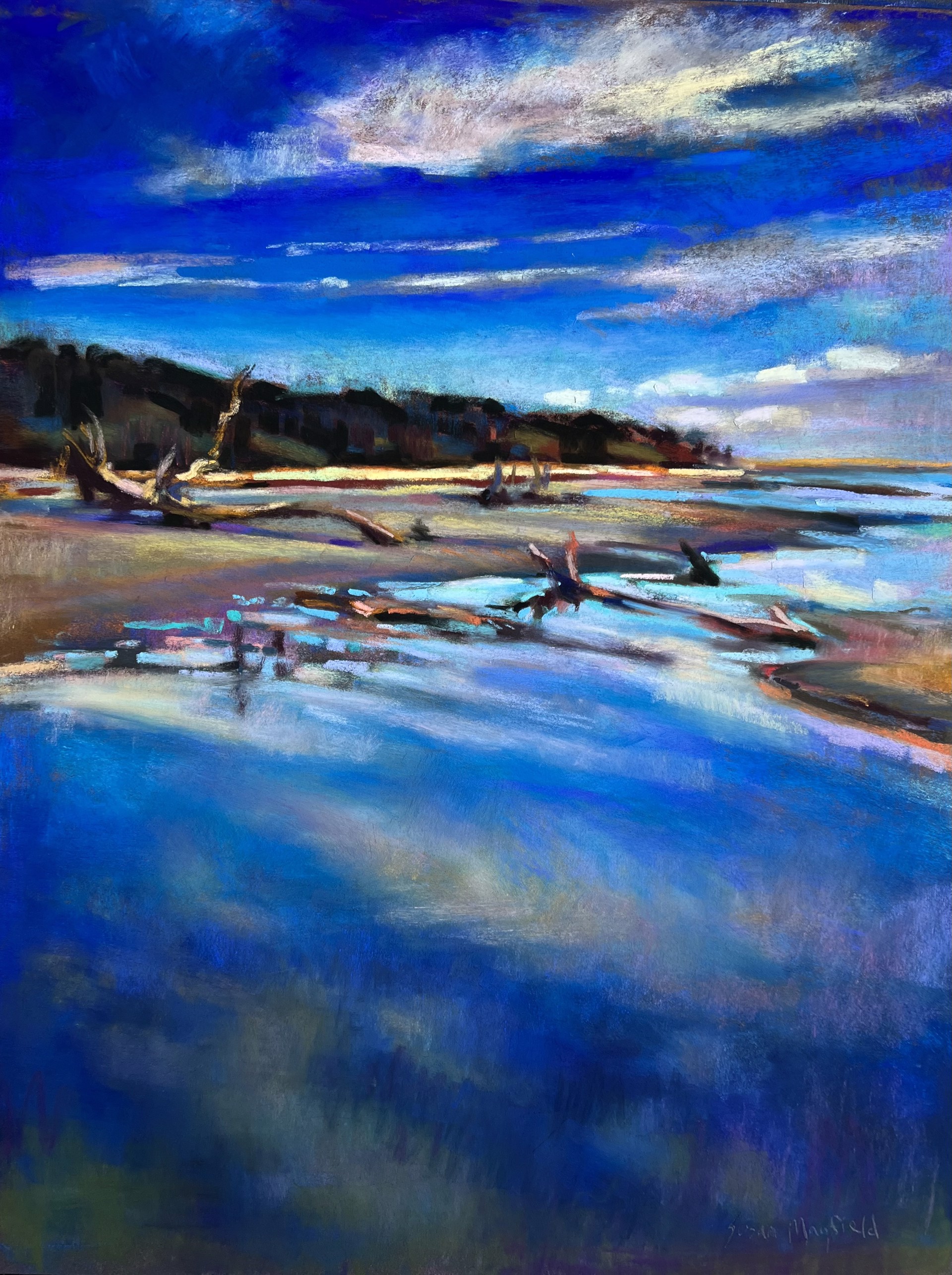 Reflections, Hunting Island by Susan Mayfield