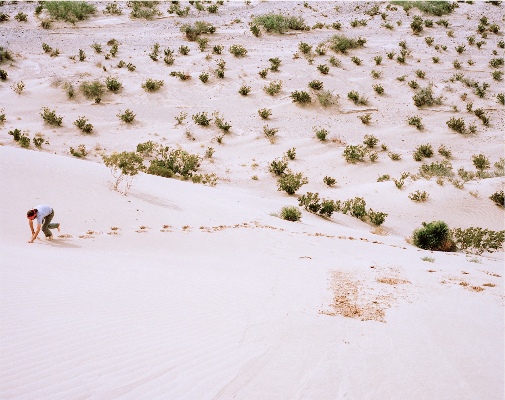 Dune Limbo by Ben Sklar