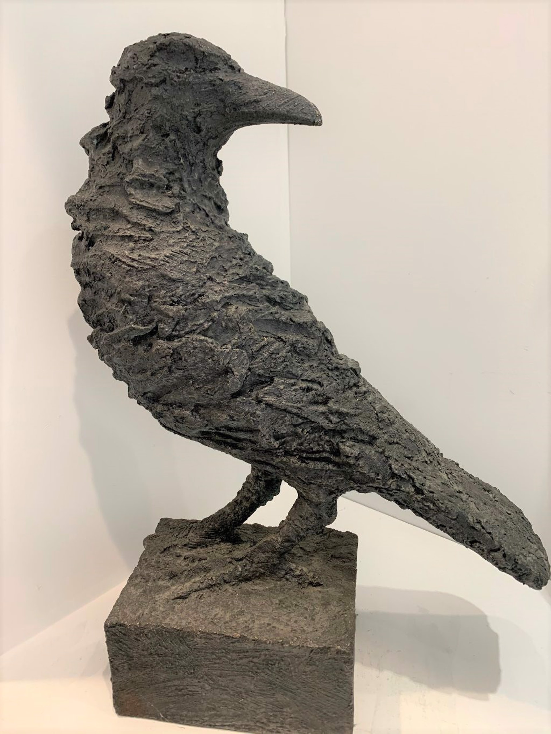 Raven by Gustavo Torres