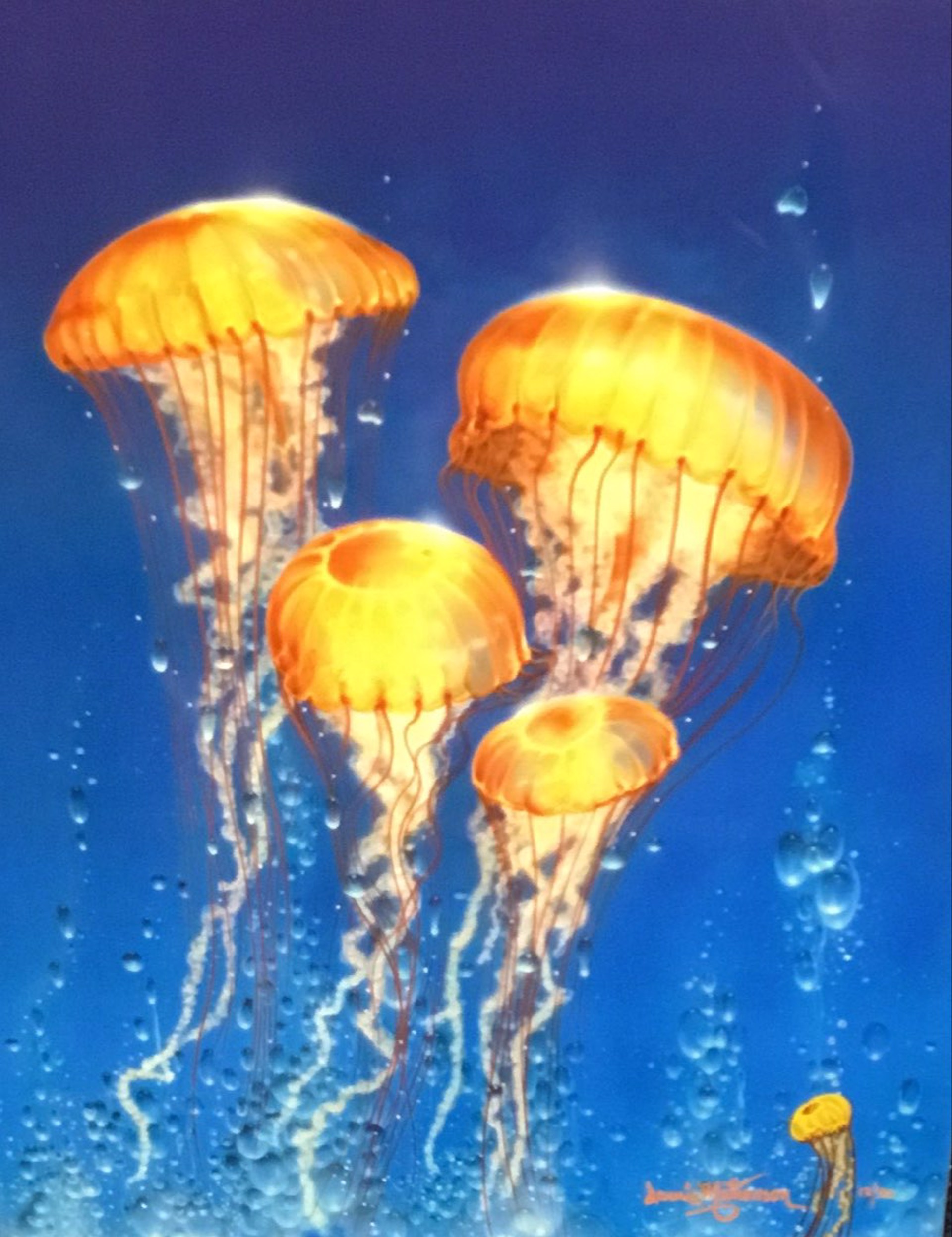 Jelly Sea by Dennis Mathewson