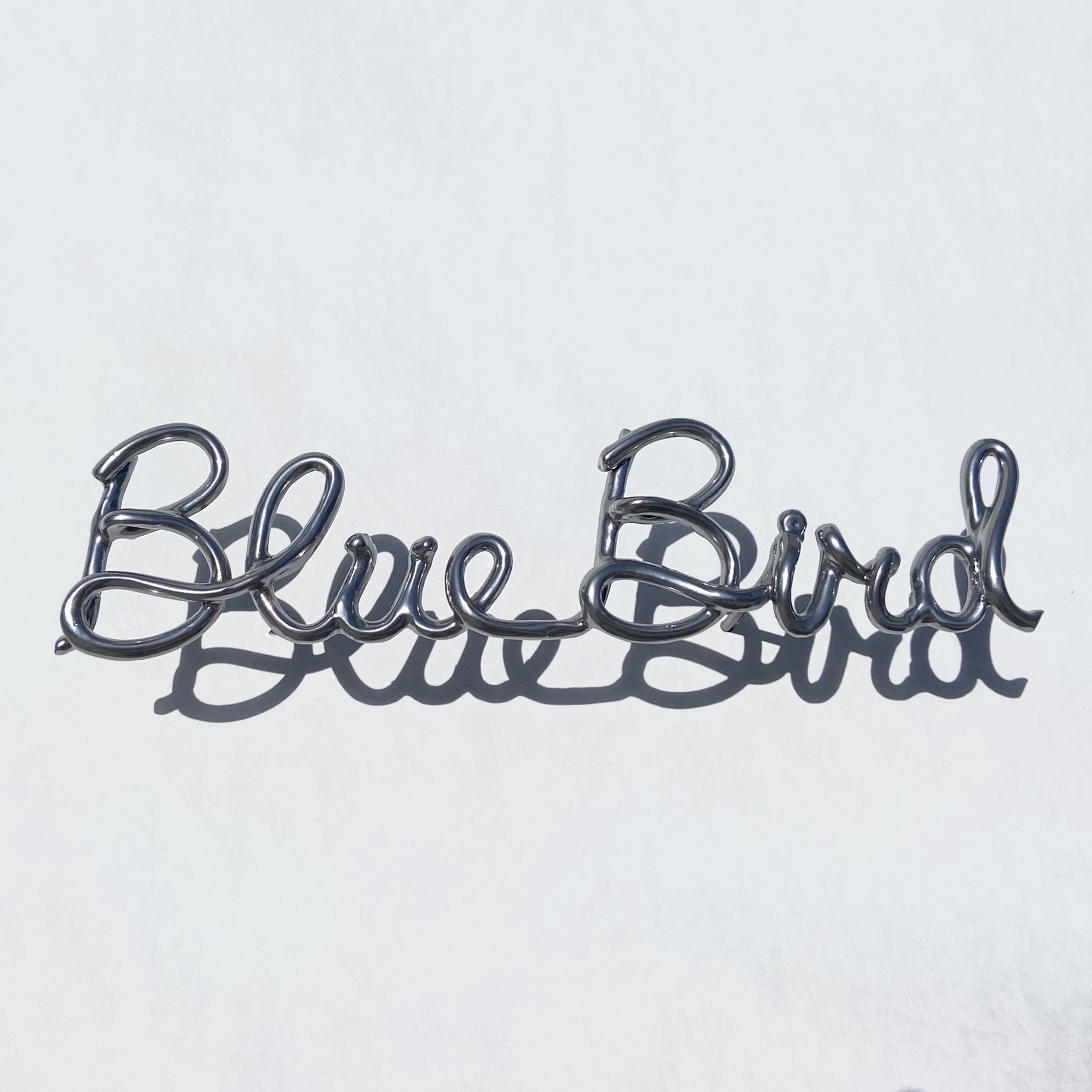 Blue Bird by Tara Conley