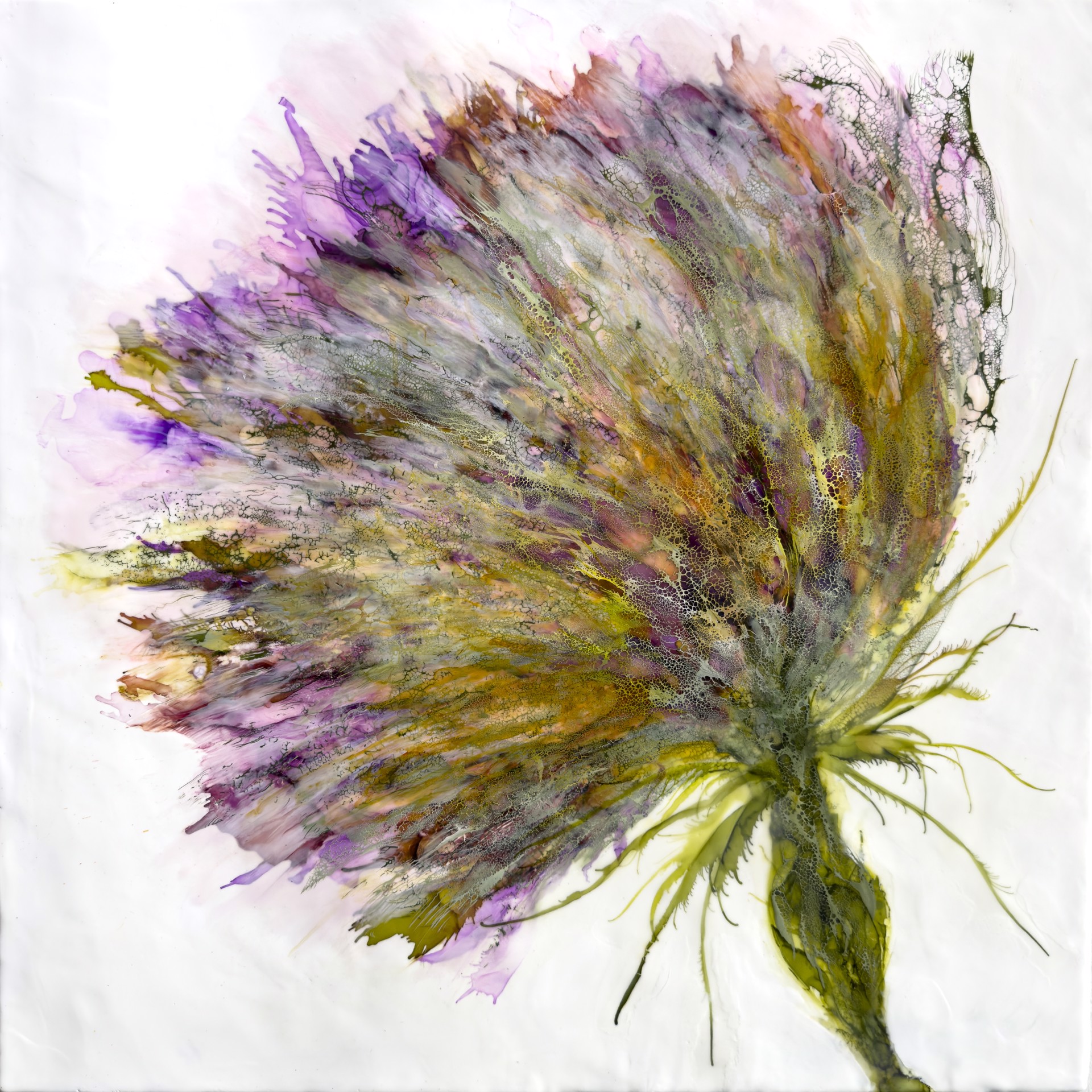 Wild with Purple by Deborah Llewellyn