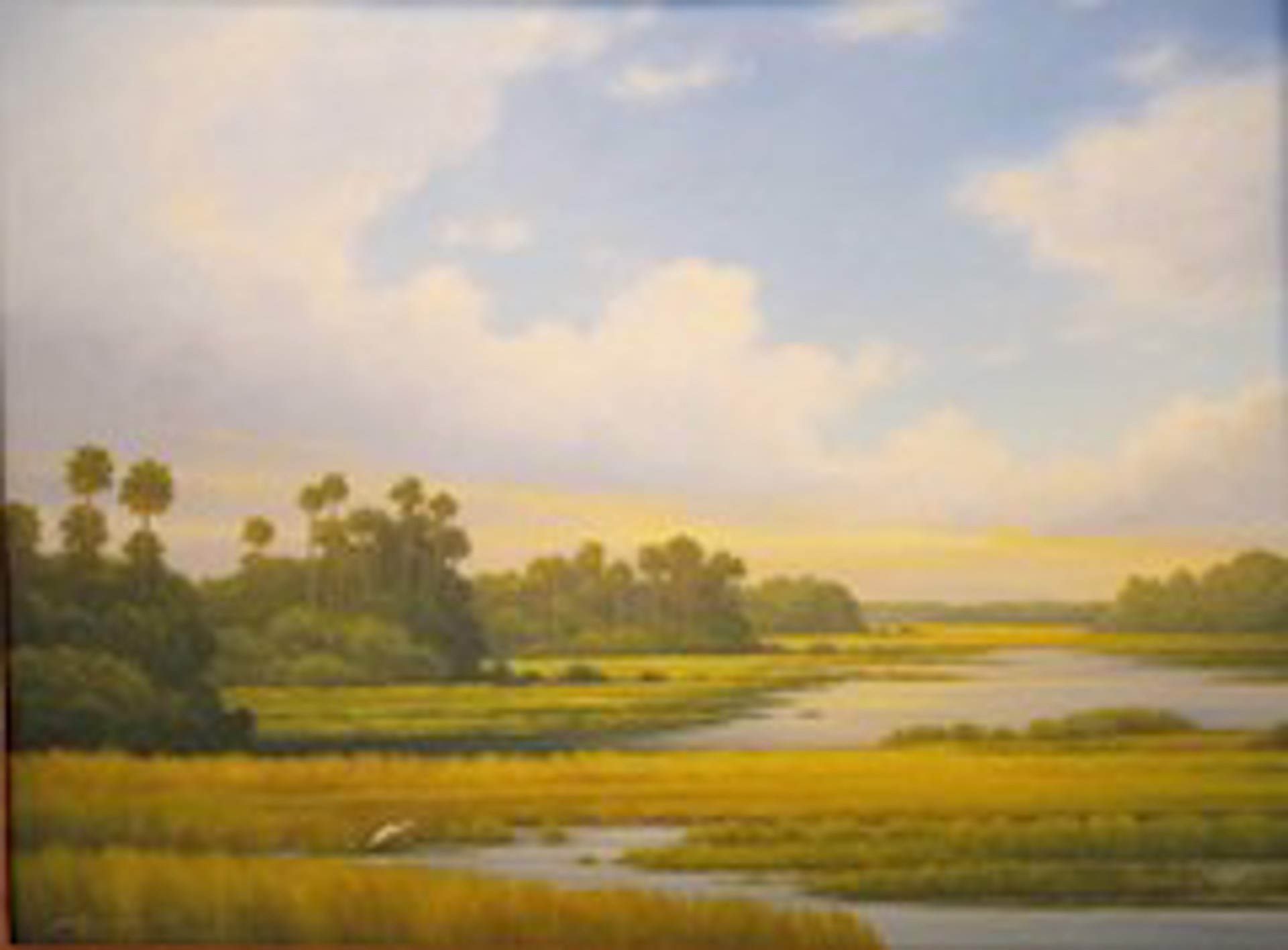 Florida Wetlands by Peter Pettegrew