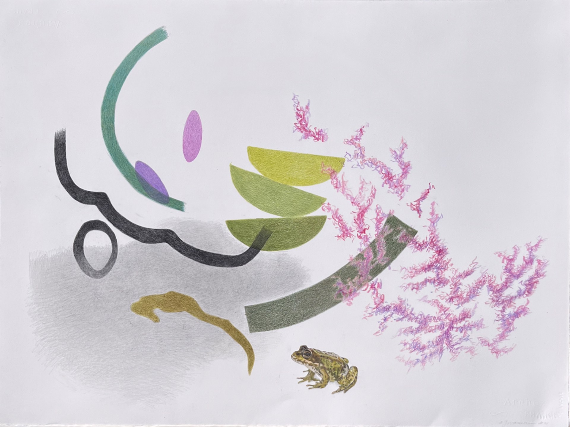 Woodland Frog and Redbuds by Janis Goodman