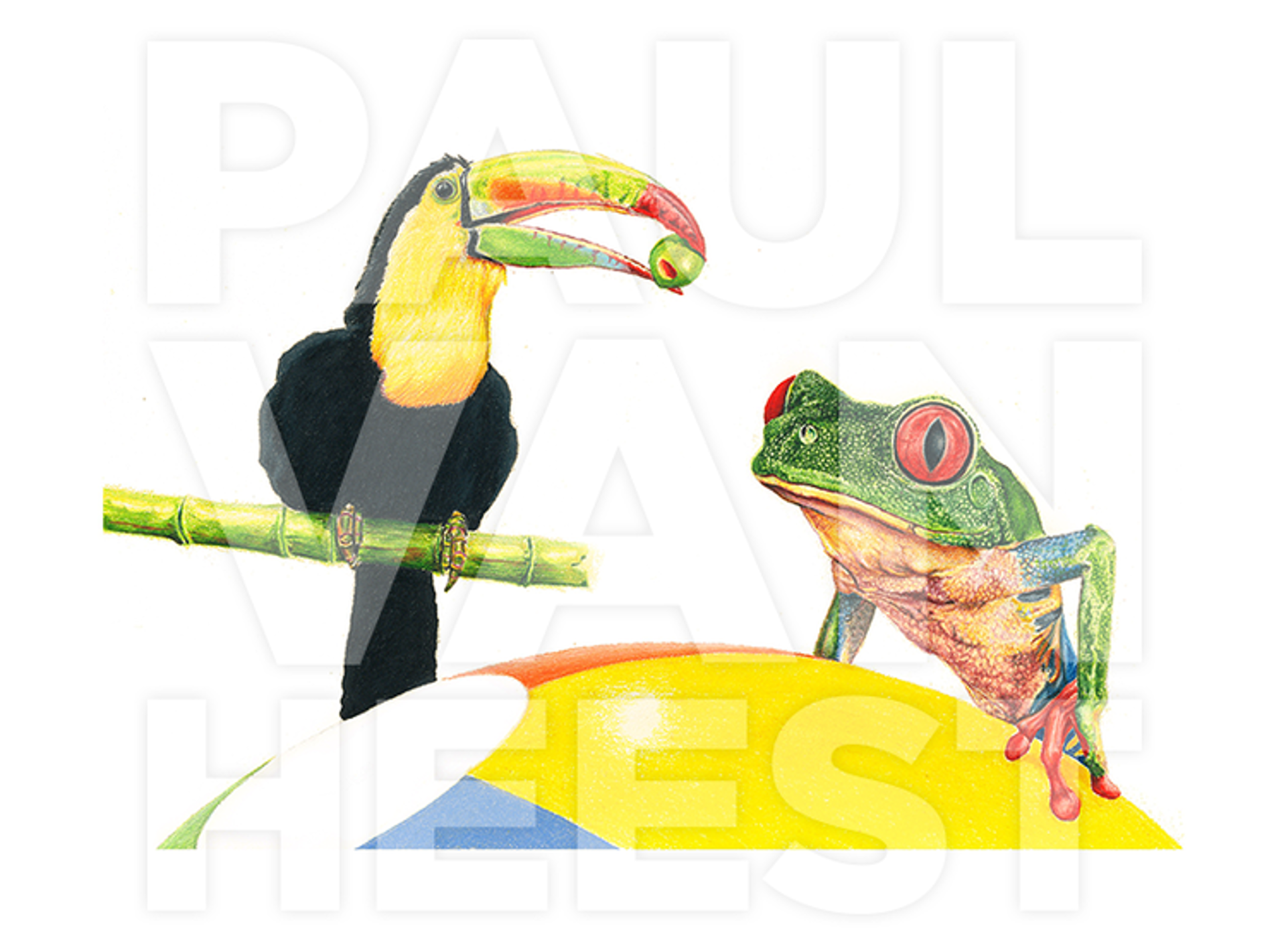 Toucan With Frog (Unframed Print) by Paul Van Heest