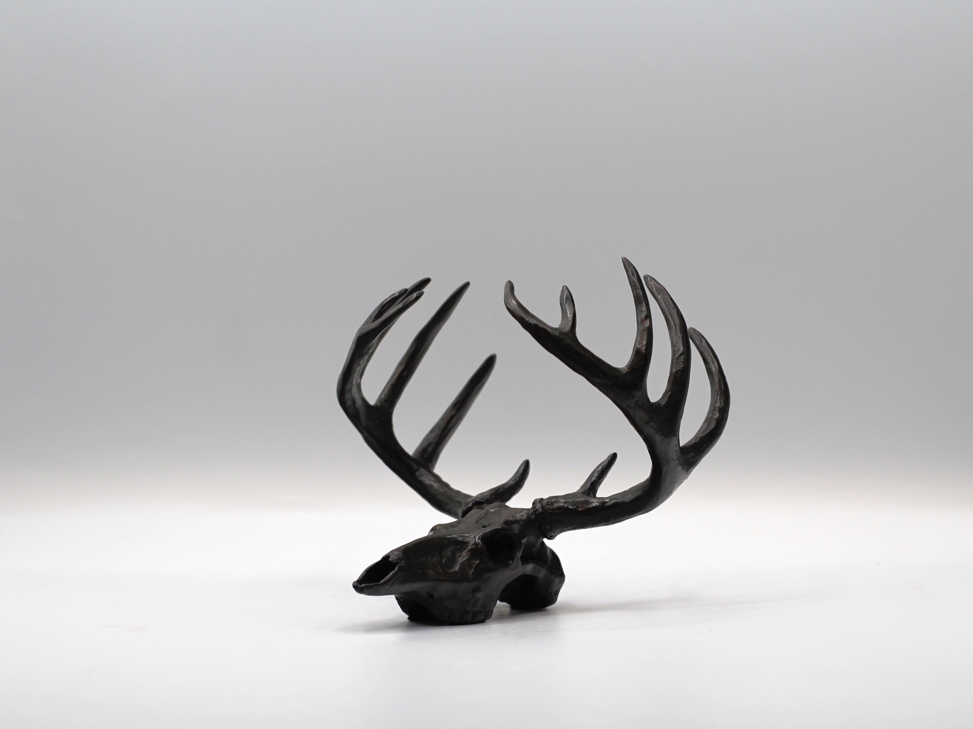 Whitetail Skull II by Mike Barlow